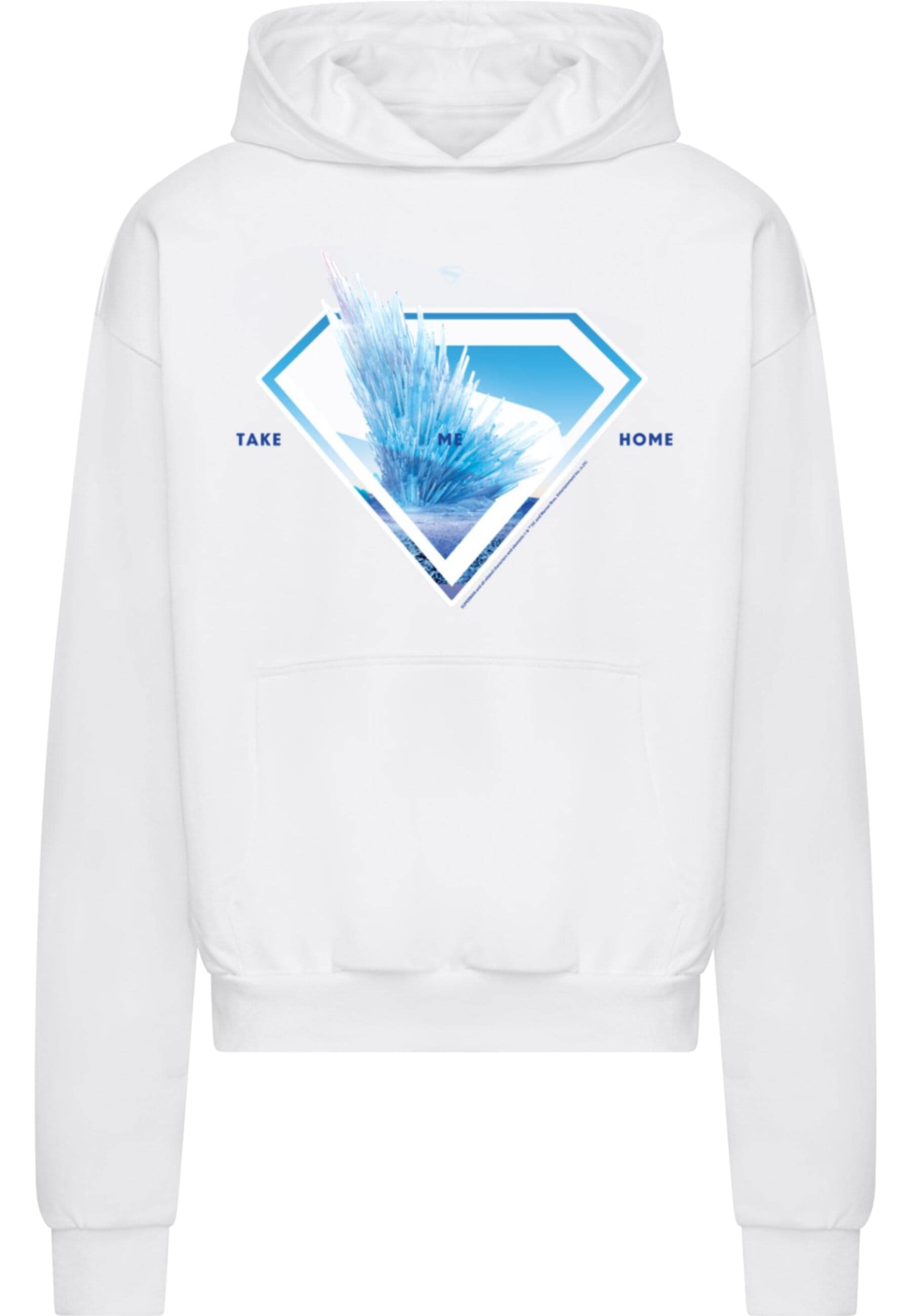 ABSOLUTE CULT Kapuzensweatshirt "ABSOLUTE CULT", (1 tlg.) günstig online kaufen