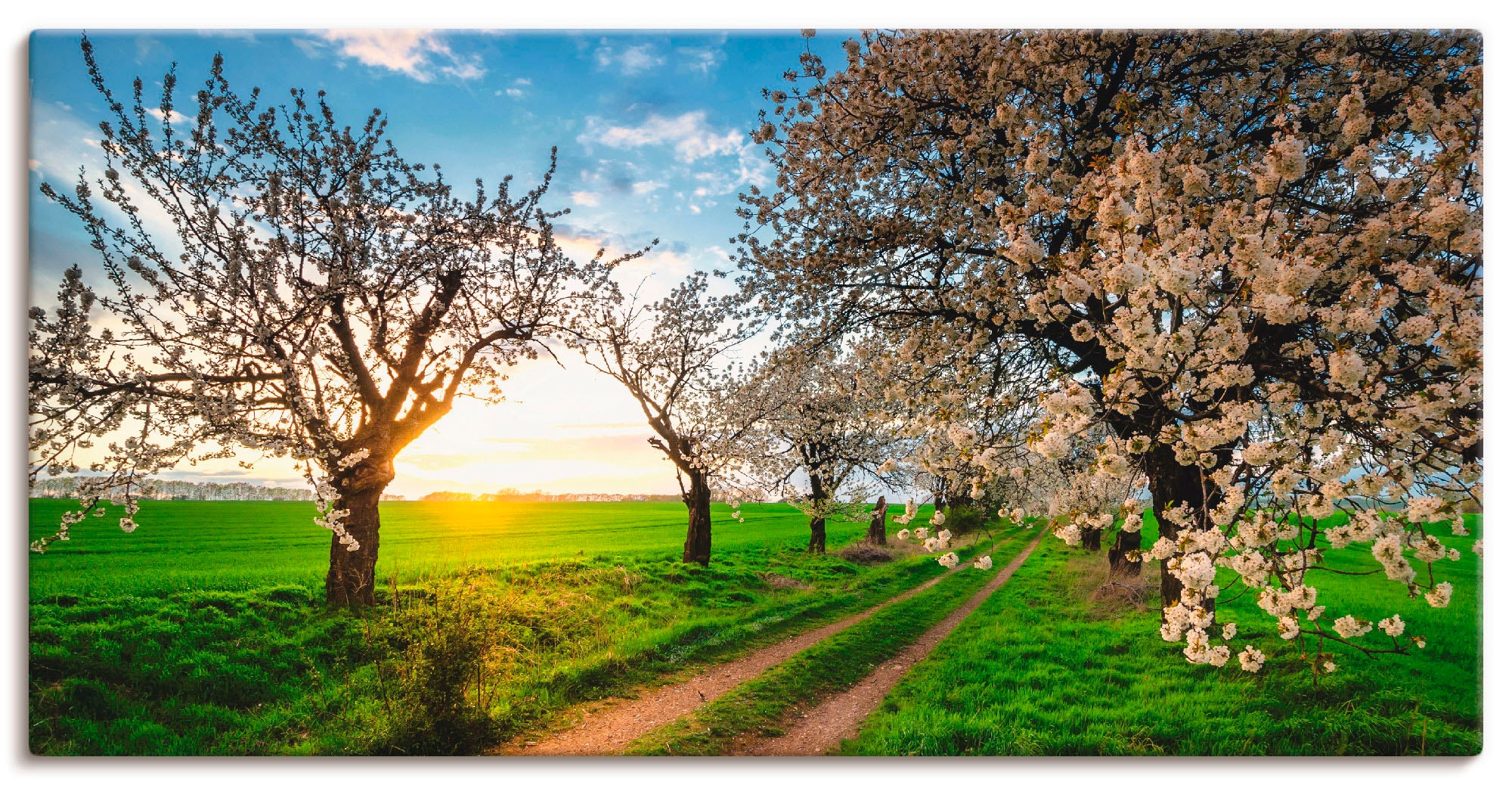 Artland Wandbild "Kirschallee" Felder 1 Stk. tlg. auf Holzrahmen gespannt günstig online kaufen