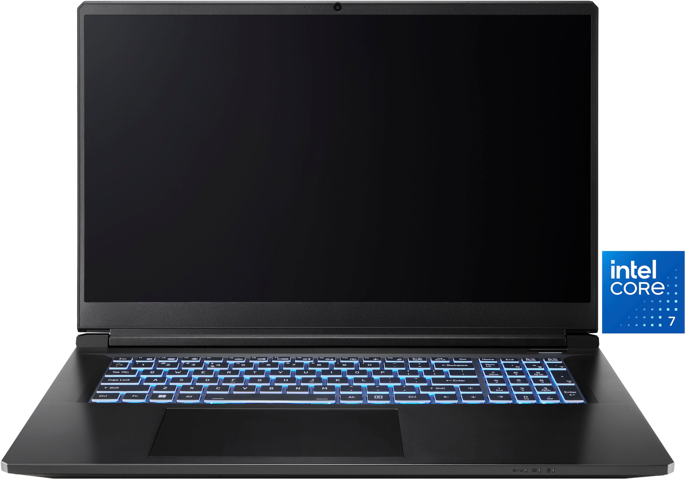 CAPTIVA Gaming-Notebook »Entry Gaming I10-1090GE« 43,9 cm / 17,3 ″ Intel Core i7 GeForce RTX 5060 500 GB SSD
