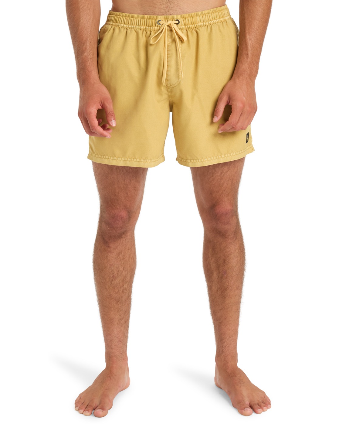 Quiksilver Boardshorts »Everyday Surfwash Volley 15"«