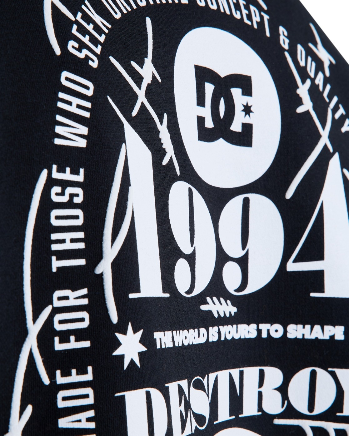 DC Shoes Hoodie »Shape Or Destroy«
