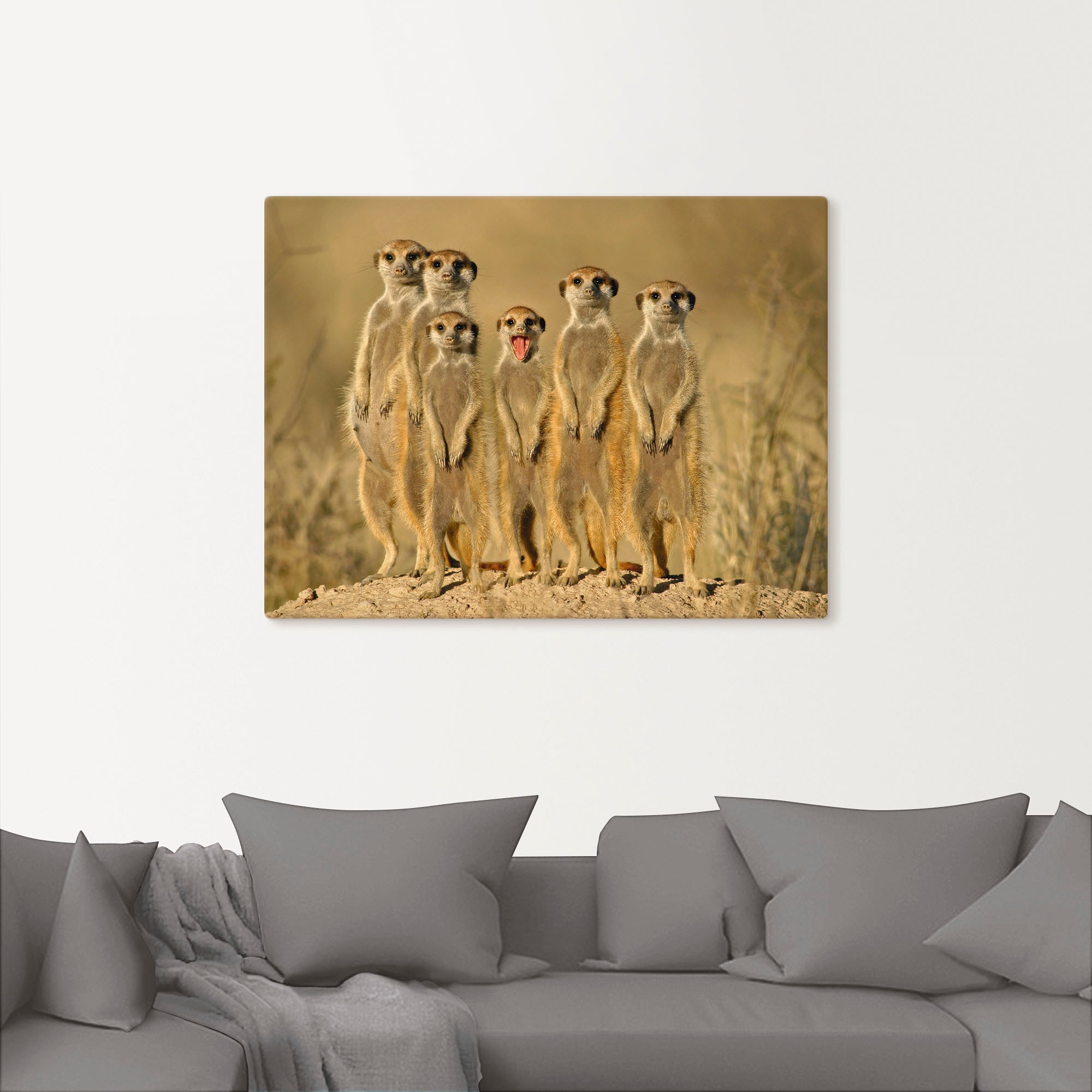 Artland Wandbild »Erdmännchen Familie«, Wildtiere, (1 St.), als Alubild, Outdoorbild, Leinwandbild, Poster, Wandaufkleber