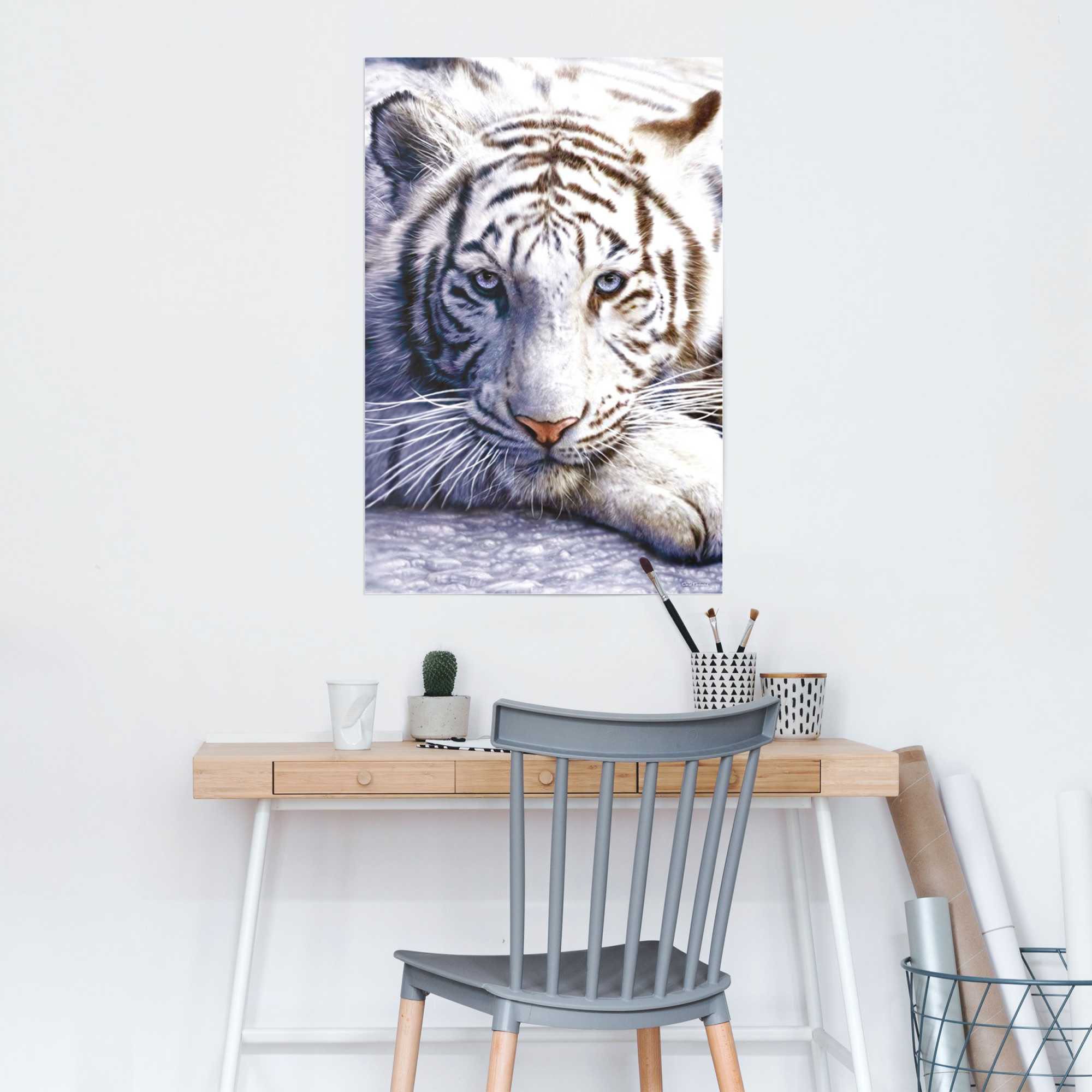 Reinders Poster "Weißer Tiger", (1 St.) günstig online kaufen