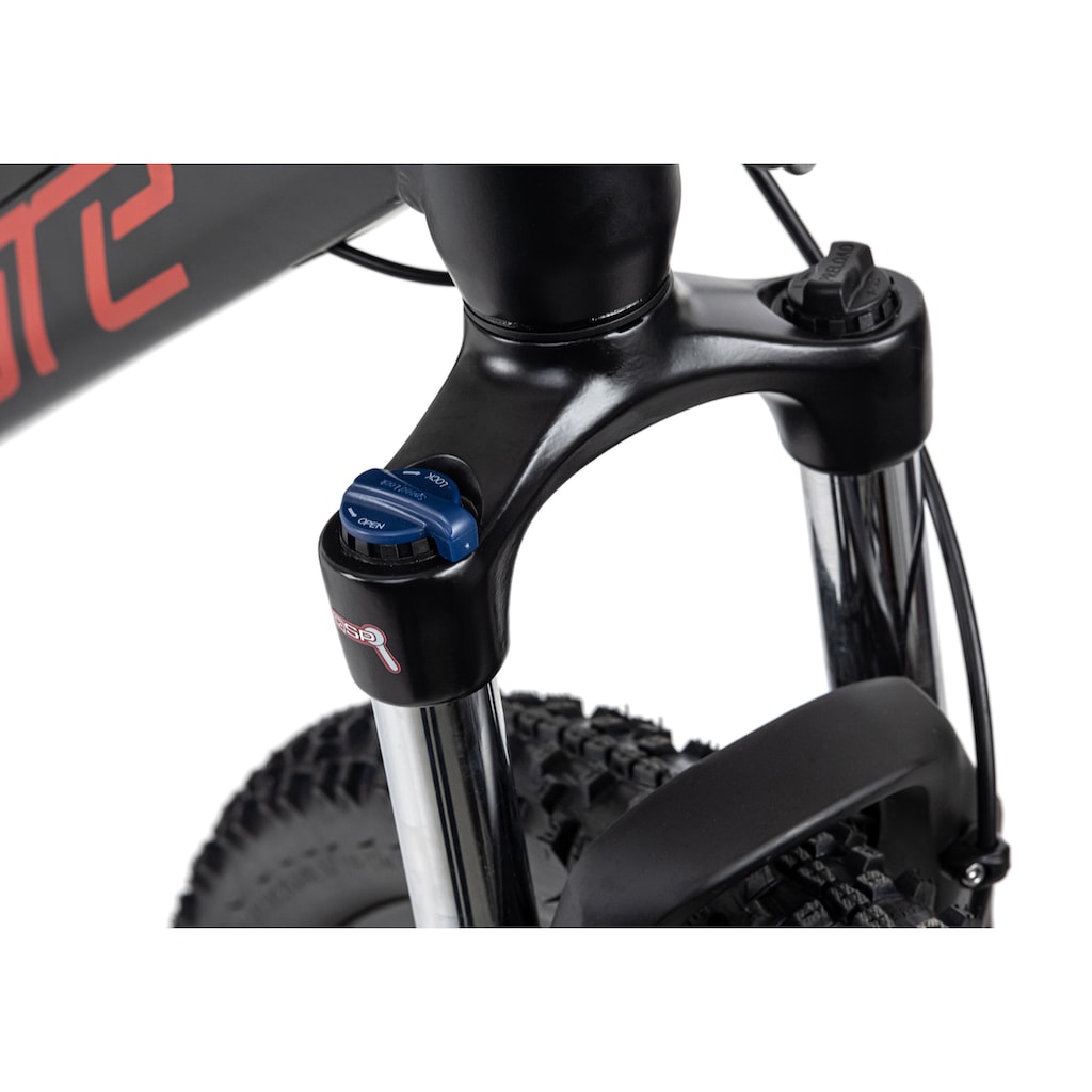 Adore E-Bike »XPOSE«, 9 Gang, Shimano, Altus, Mittelmotor 250 W