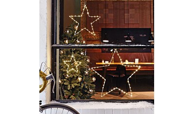 Schneider LED Stern »Weihnachtsstern, Blanche, Weihnachtsdeko aussen«, Warmweiß,... kaufen