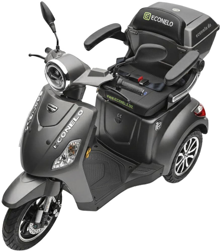 ECONELO Elektromobil »Seniorenmobil P1000, Blei-Akku, 25 km/h, 1000 Watt« 1.000 W 25 km/h