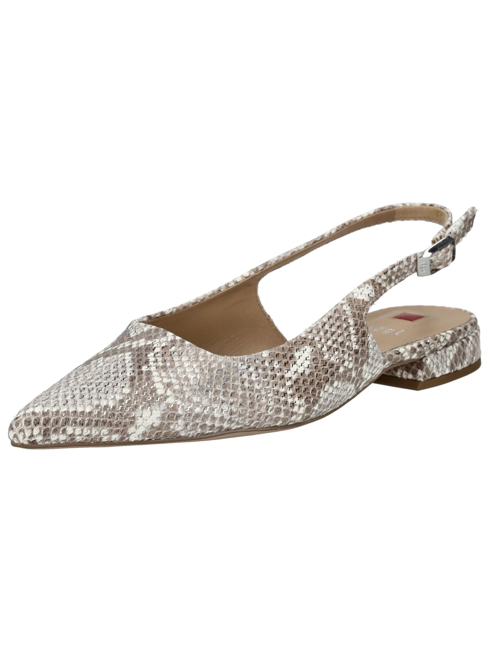 Högl Pumps "Högl Pumps Leder" günstig online kaufen