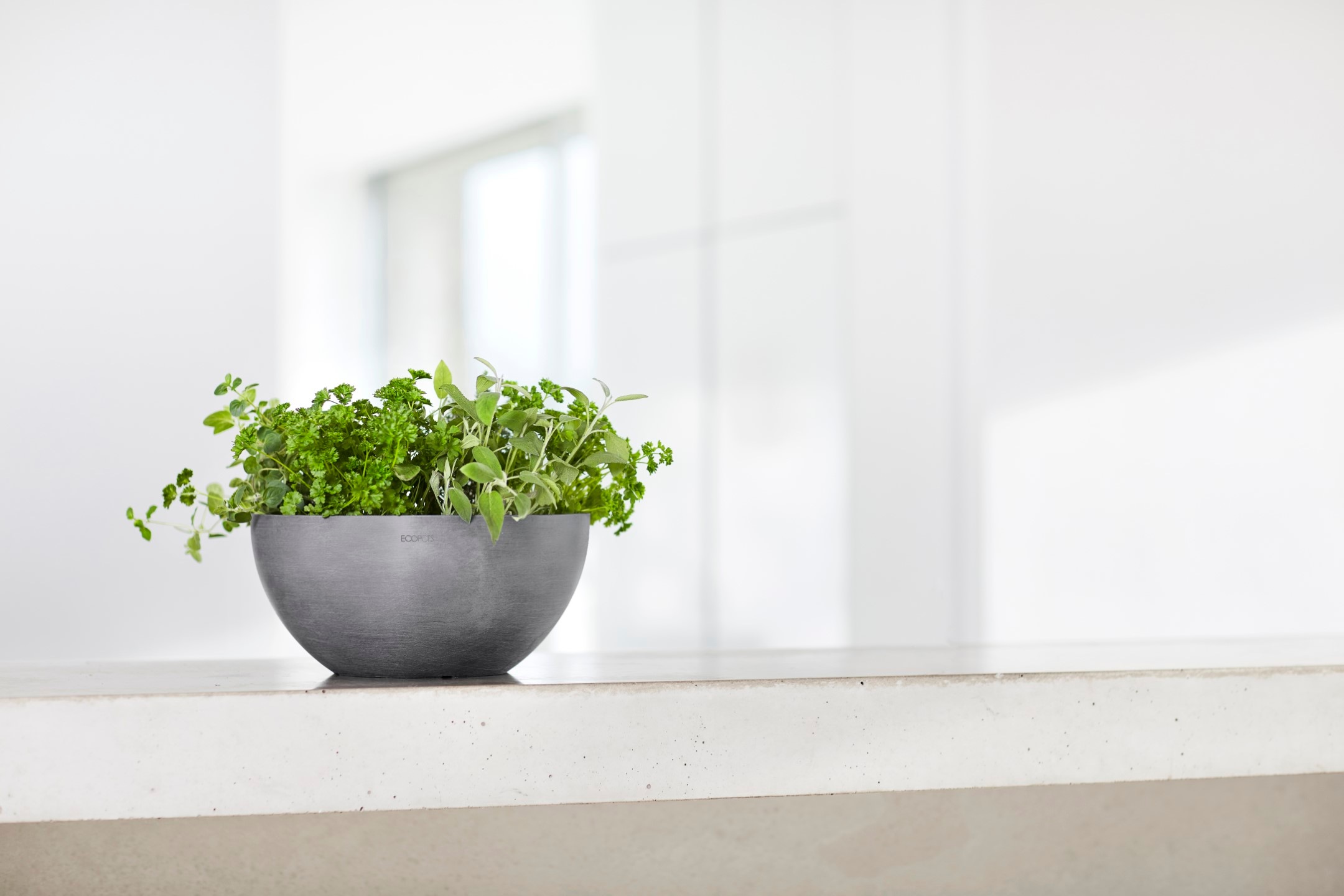 ECOPOTS Blumentopf »BRUSSELS Grey«, BxTxH: 25x25x12 cm