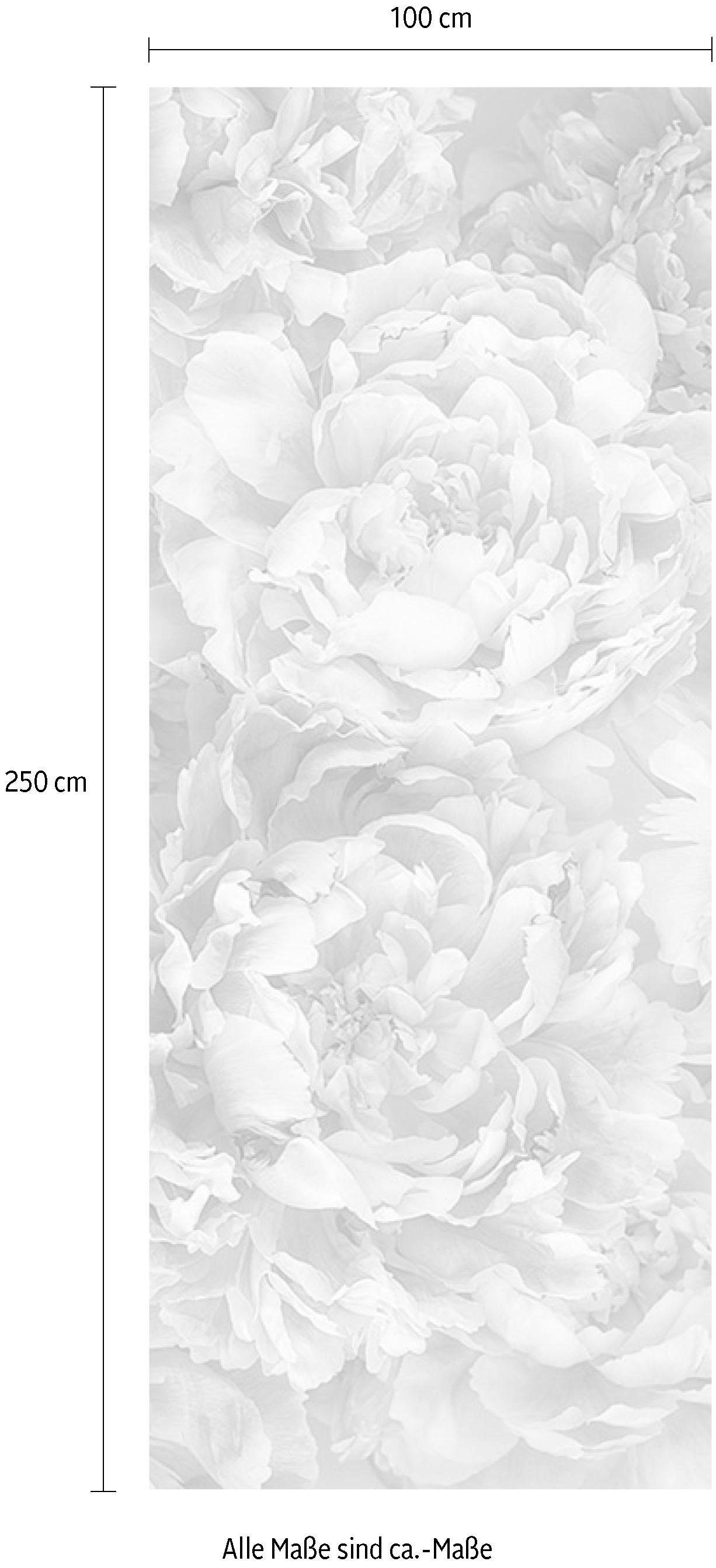 Komar Vliestapete (Breite x Höhe), Vliestapete, 100 cm Bahnbreite