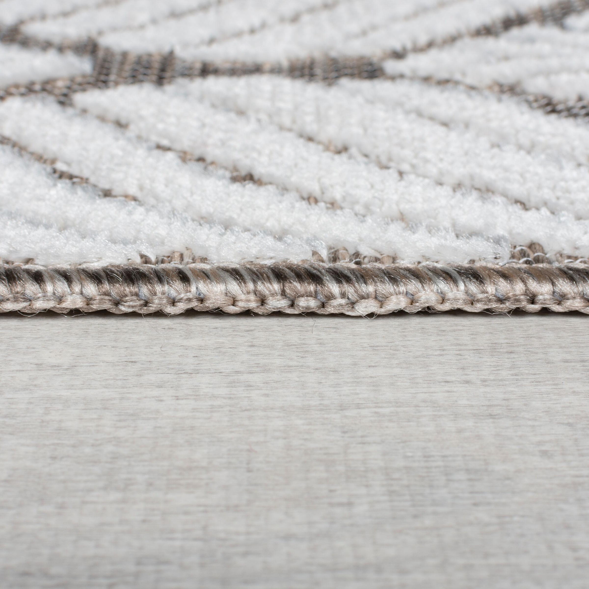 Teppich FLAIR RUGS "Elm Leaf", beige (natur), B:120cm H:4mm L:170cm, Kunstfaser, Teppiche, Teppich, In & Outdoor geeignet, Hoch-Tief Effekt, Florales Design 3