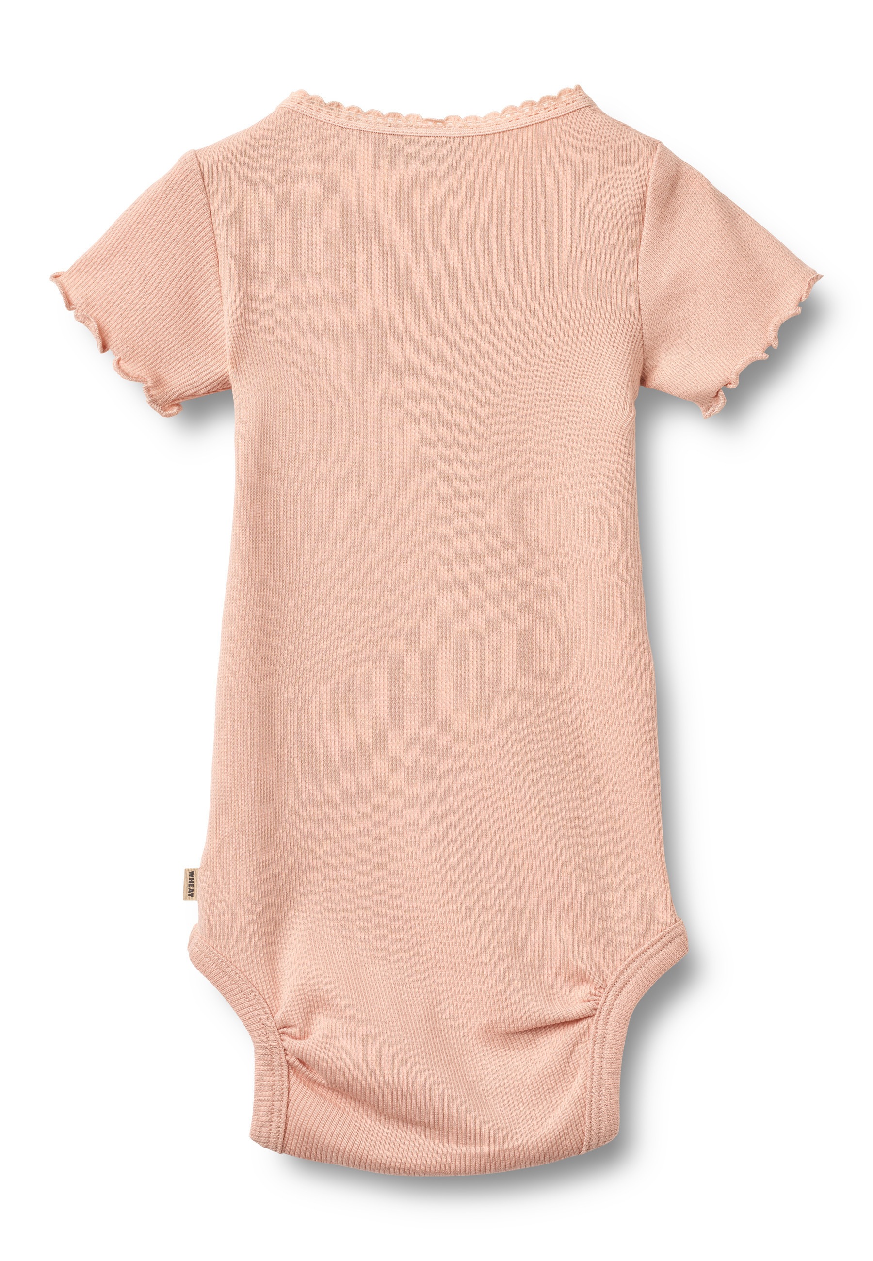 WHEAT Blusenbody »WHEAT Rippkörper S/S Edna«