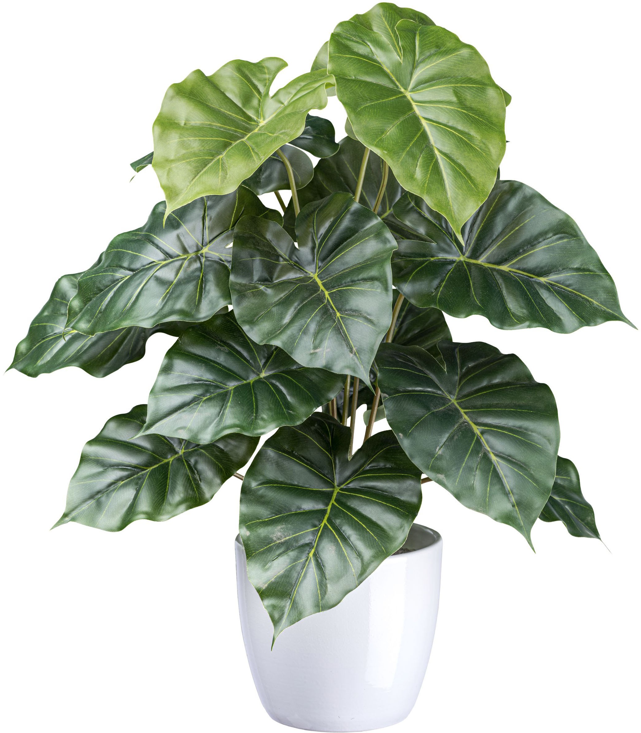 Creativ green Künstliche Zimmerpflanze »Philodendron...