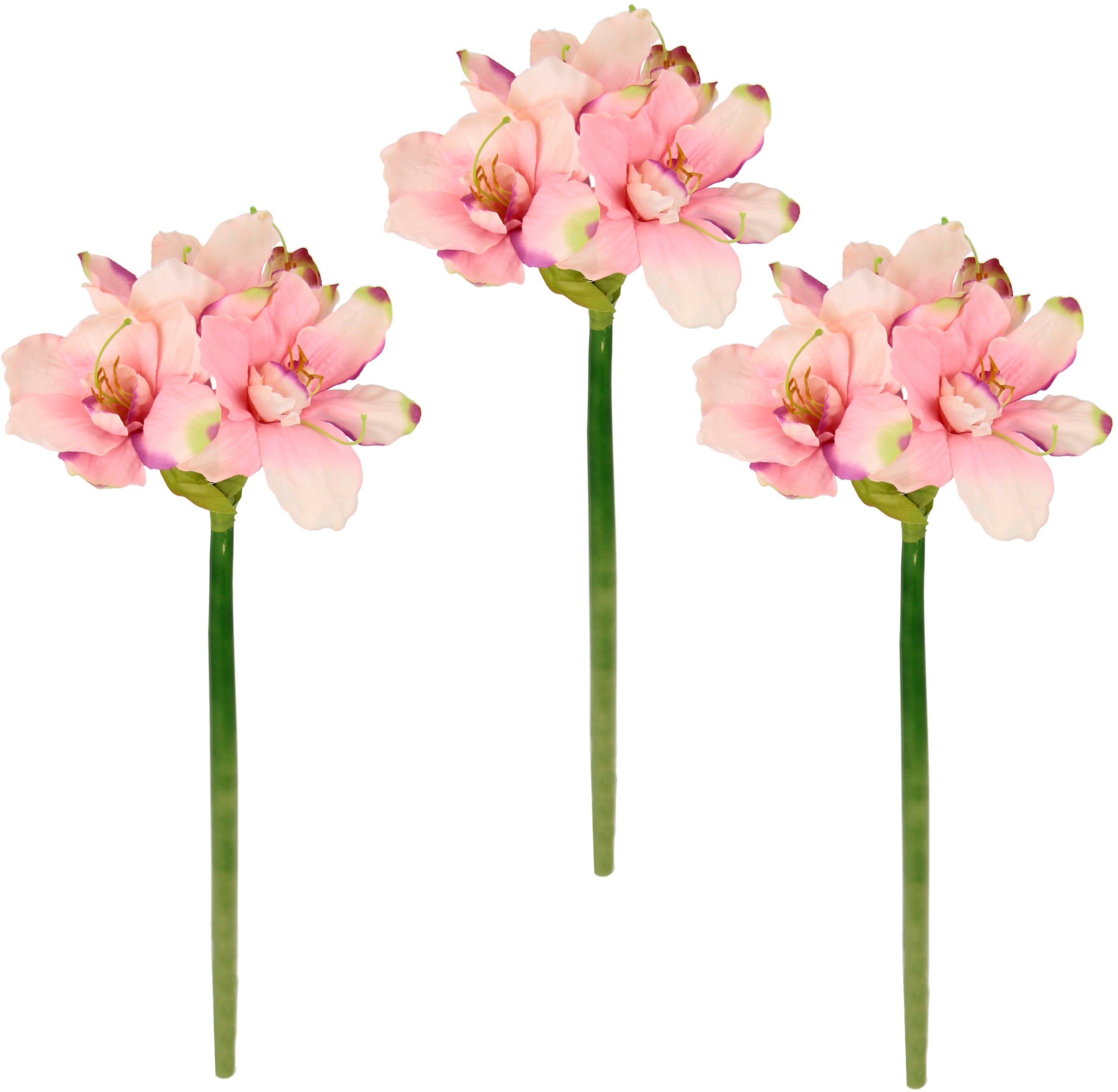 I.GE.A. Kunstblume "Amaryllis", Kunst-Stielblume, 3er Set günstig online kaufen