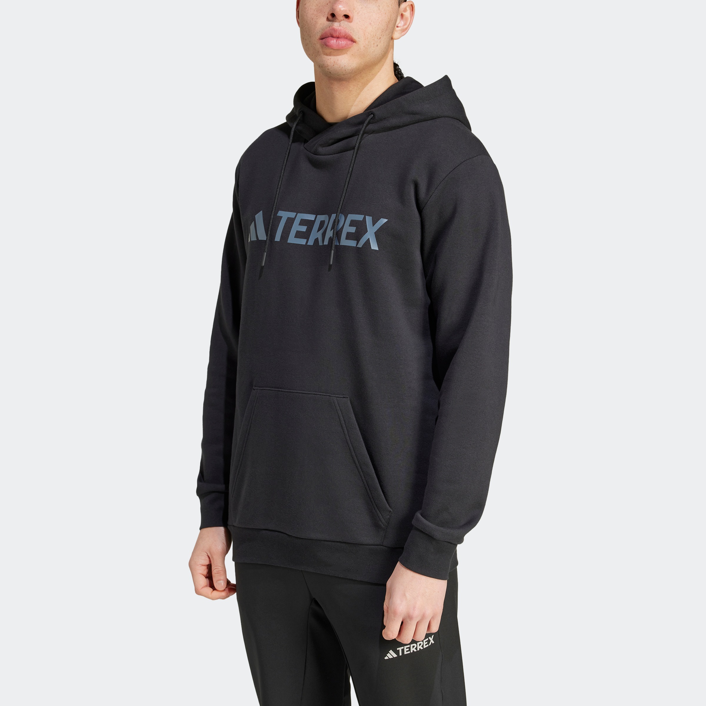 adidas TERREX Kapuzensweatshirt MT L LOGO HD günstig online kaufen