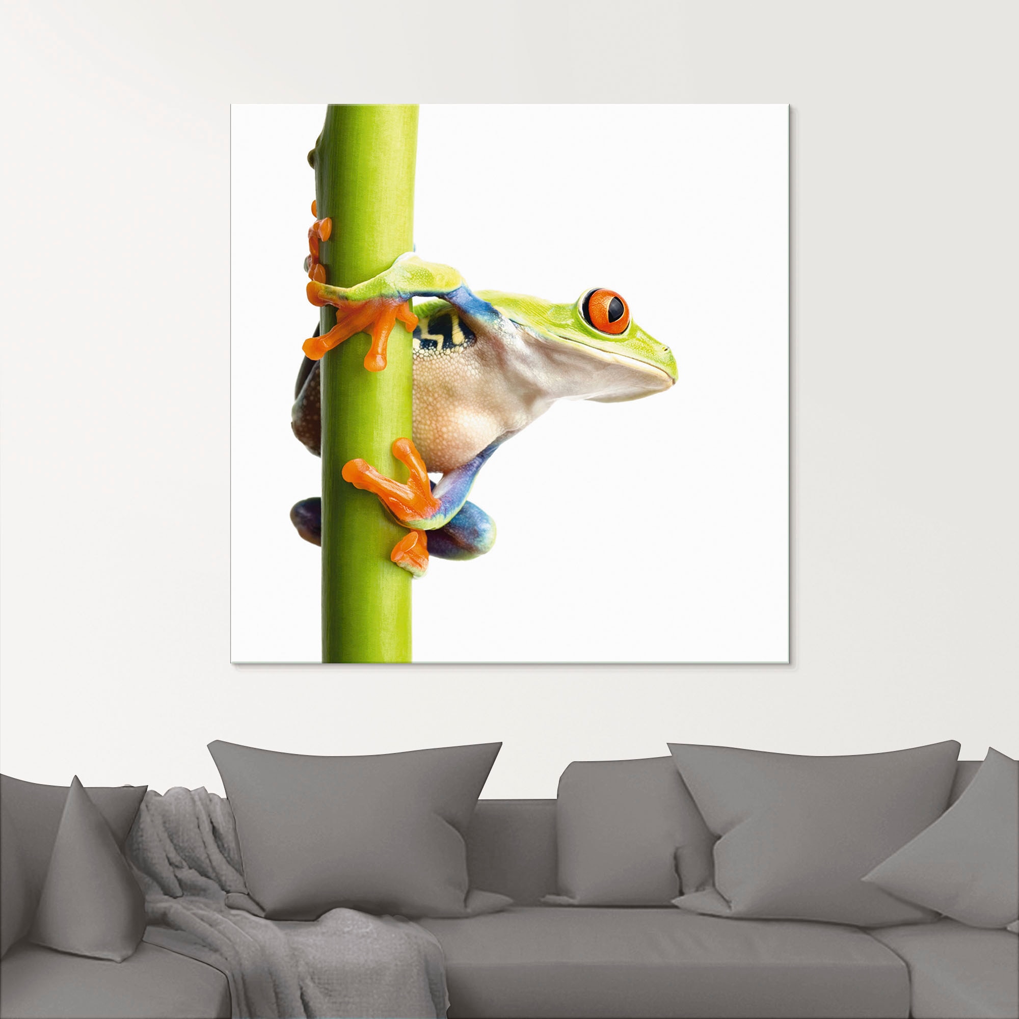 Artland Glasbild "Frosch umfasst einen Pflanzenstengel" Wassertiere 1 Stk. günstig online kaufen
