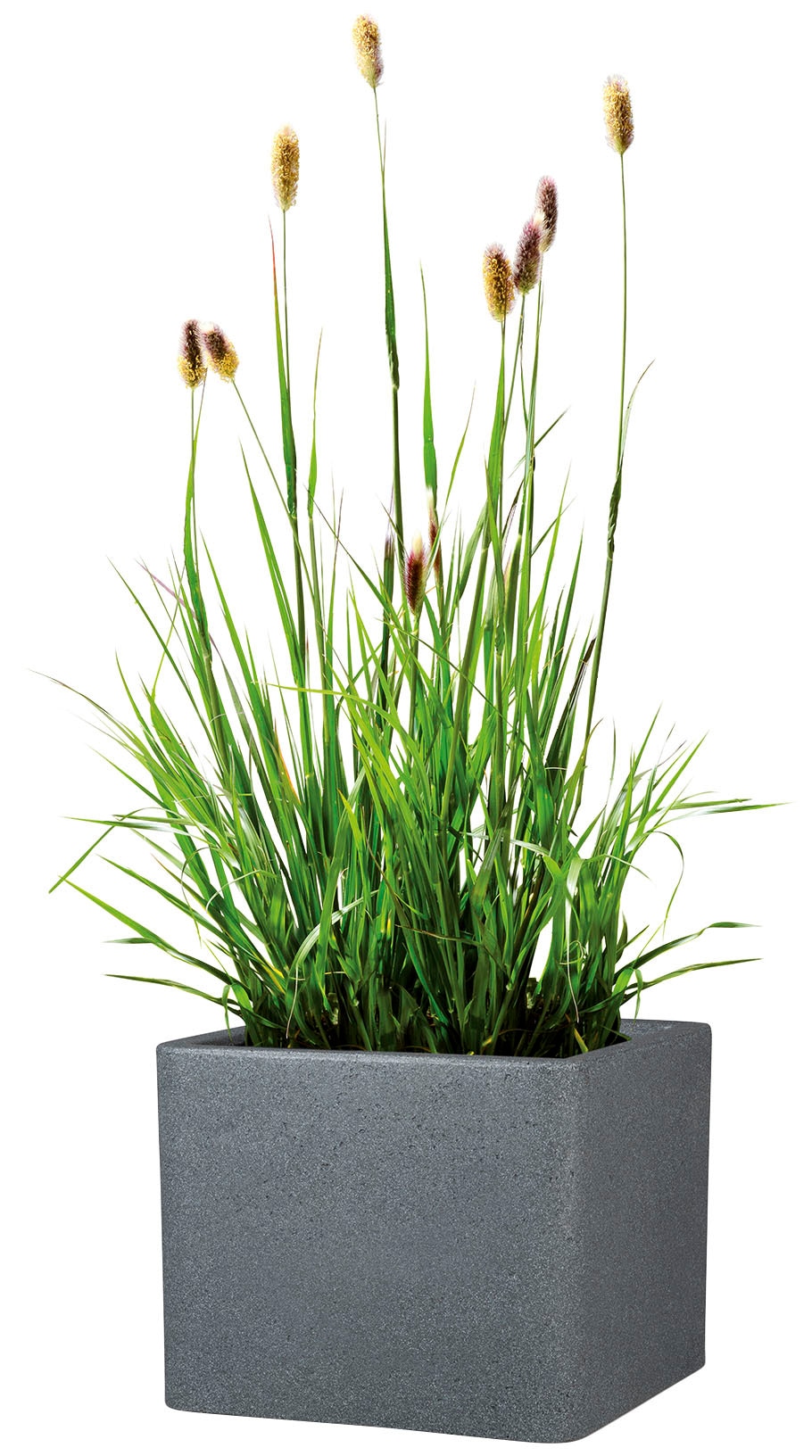 Scheurich Blumentopf »40/140 ALEA UET«