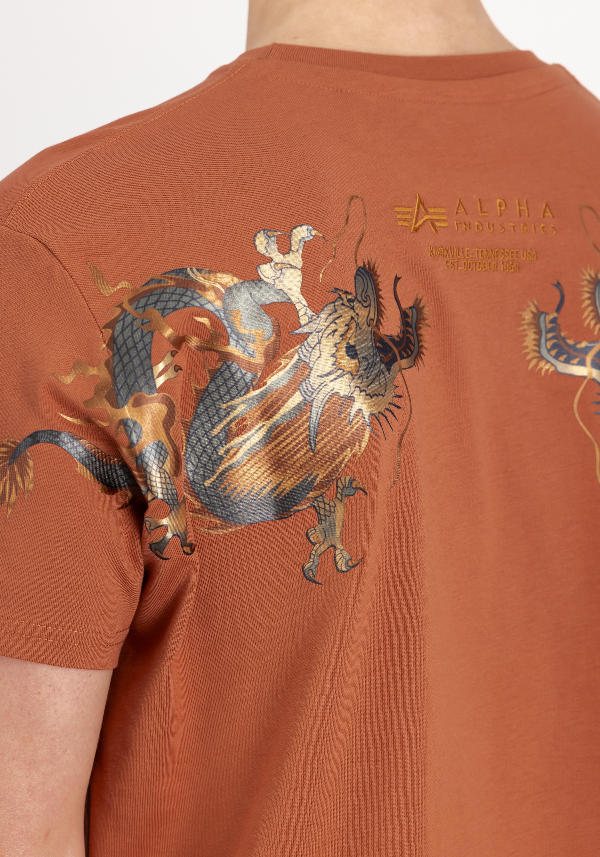 Alpha Industries T-Shirt »Dragon EMB T-Shirt«