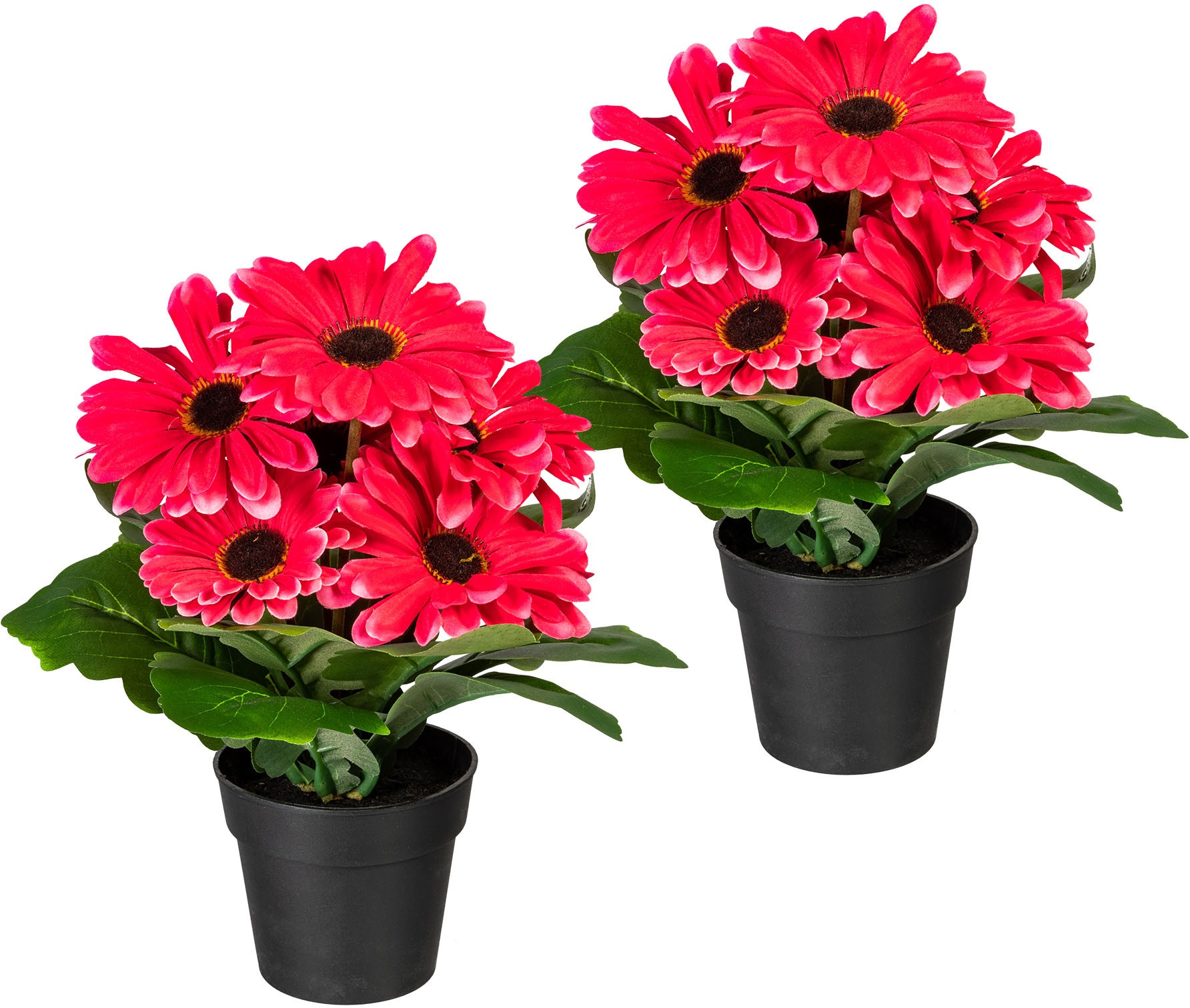 OTTO home Kunstpflanze "Elaine" im Topf, 2er Set