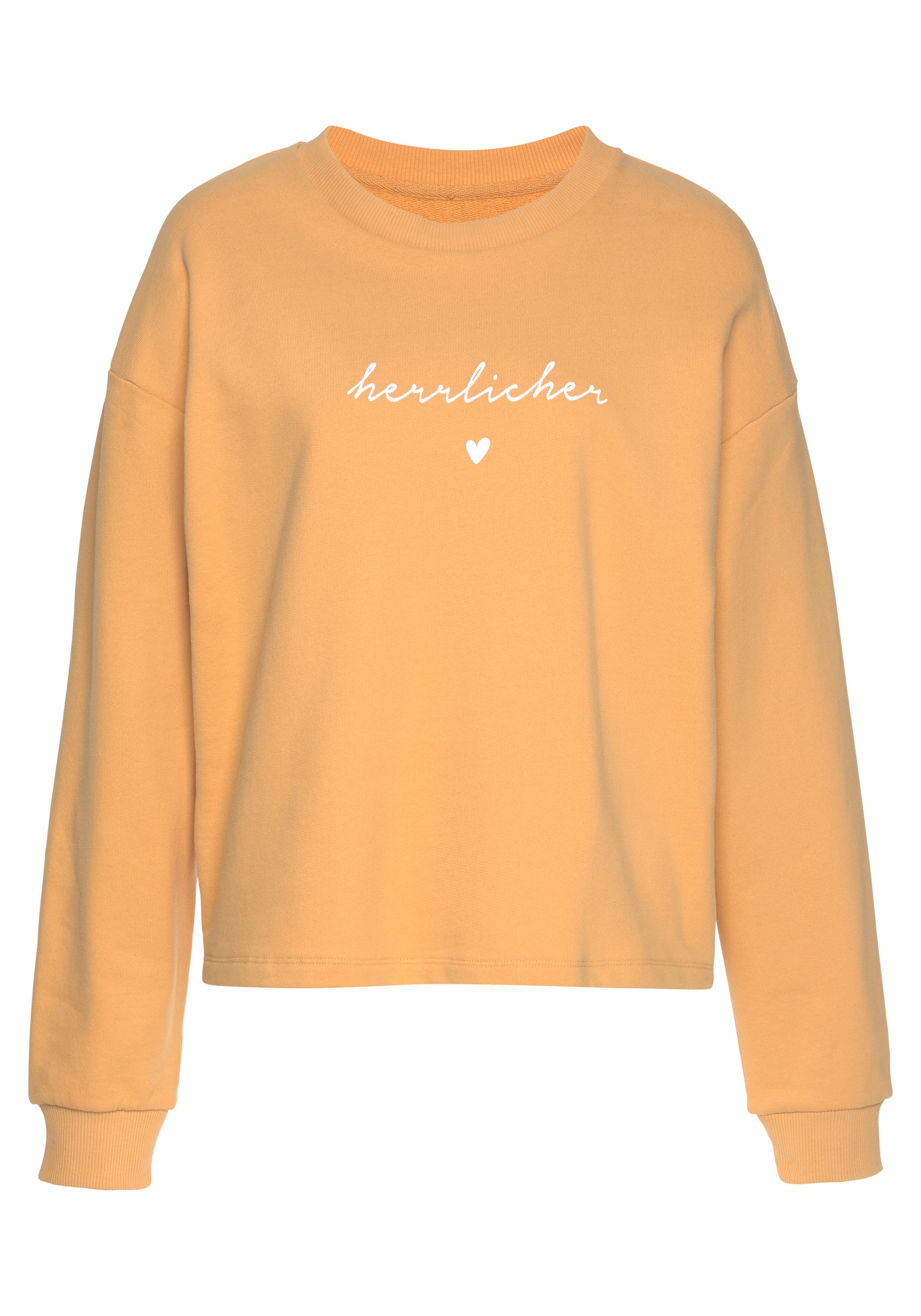 Herrlicher Sweatshirt »OTINA«, mit Herrlicher Logo-Statement-Print