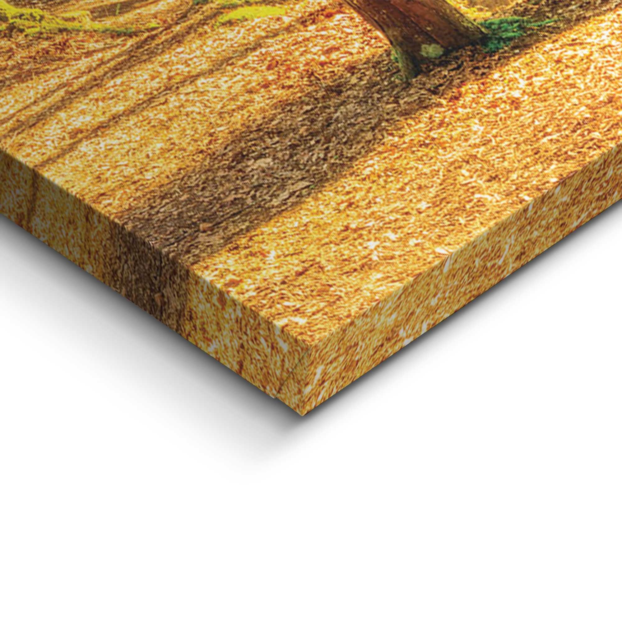 Reinders! Deco-Panel »Sonnenschein im Wald«, Hobbyraum - Grün - MDF - Wald - 118x70 cm