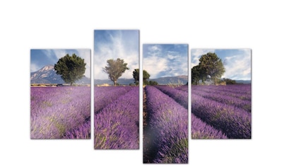 Wall-Art Mehrteilige Bilder »Lavendel Blumenfeld (4-teilig)«, (Set, 4 St.) kaufen