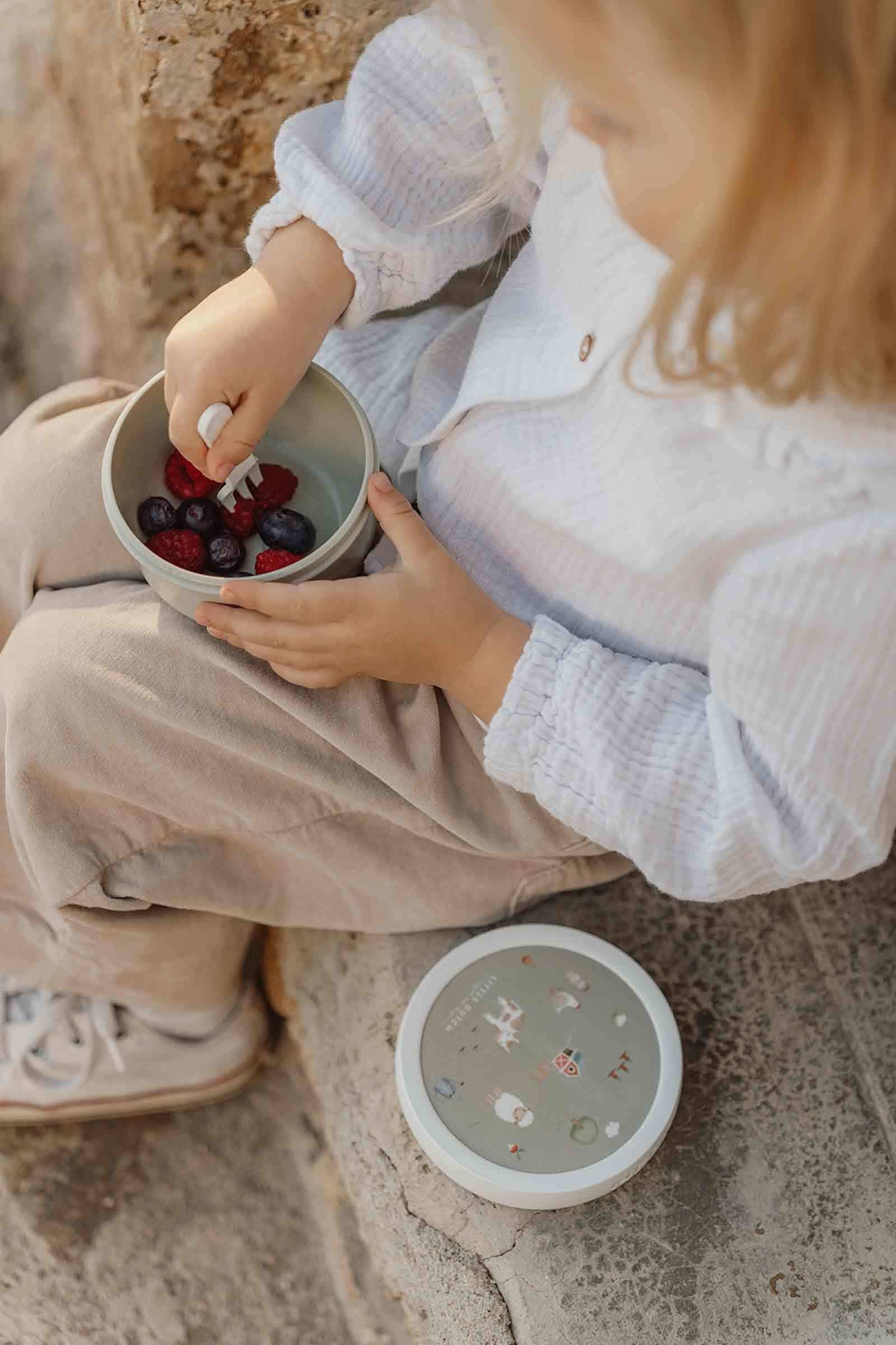 Mepal Lunchbox »Fruchtbox Campus 300 ml«, (1 tlg.)