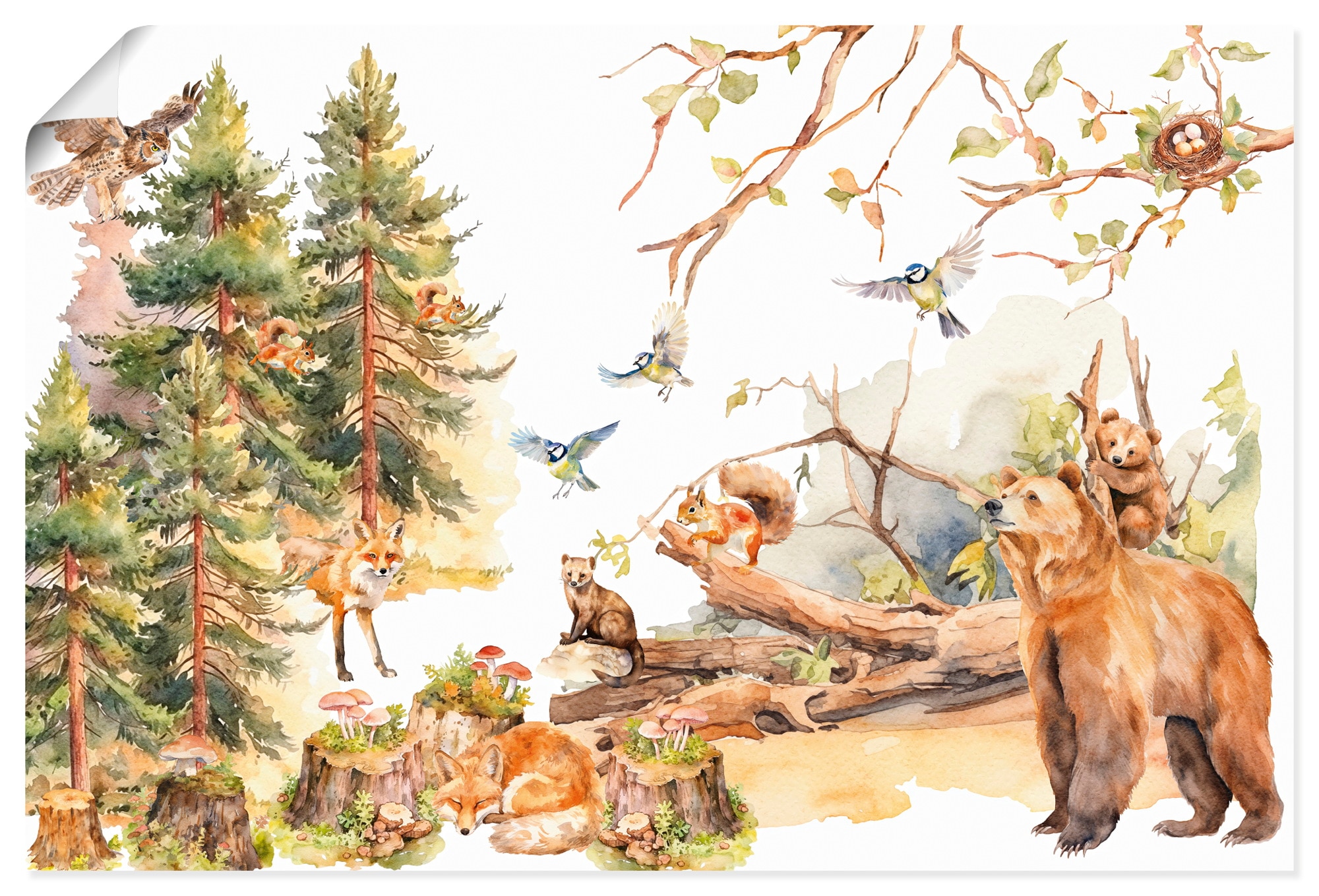 Artland Wandbild "Die Tiere des Waldes" 1 Stk. tlg. als Alubild, Leinwandbild, Poster, Wandaufkleber in verschied. Größen
