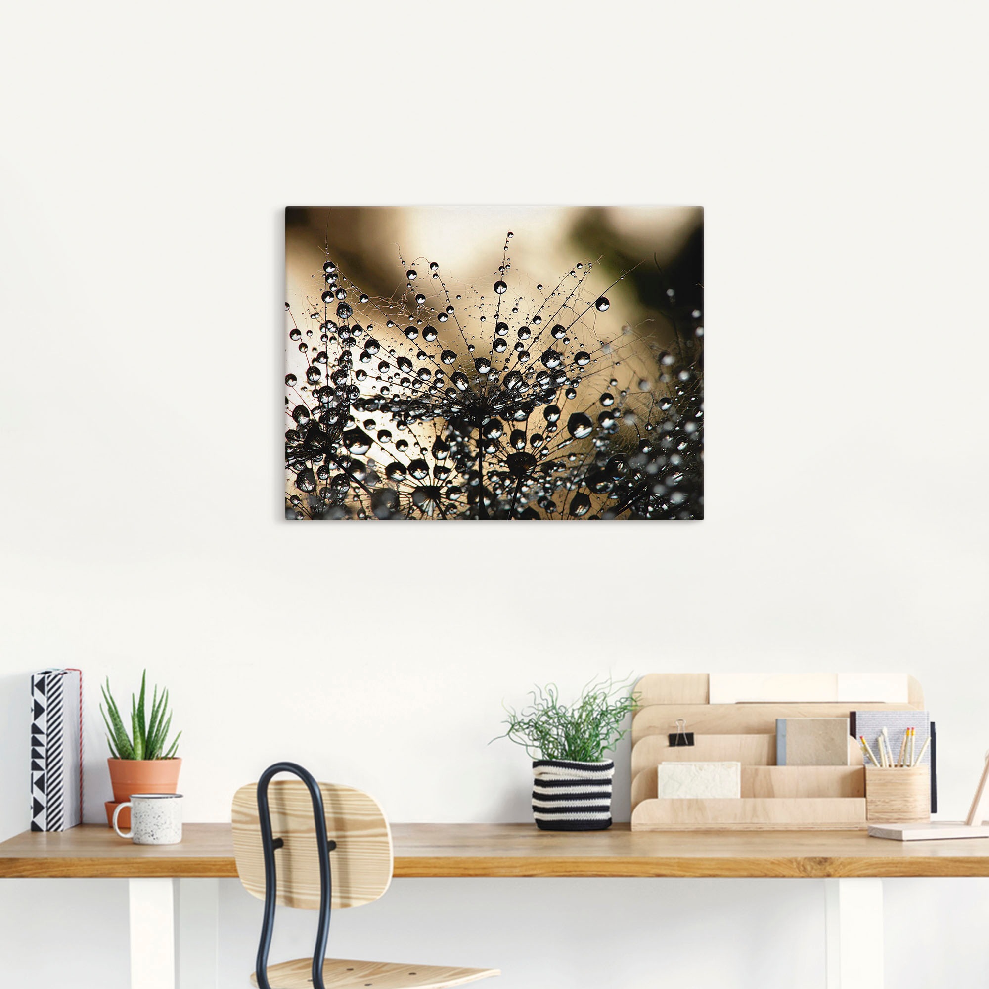 Artland Wandbild »Nasser Löwenzahn«, Blumen, (1 St.), als Alubild, Outdoorbild, Leinwandbild, Poster, Wandaufkleber