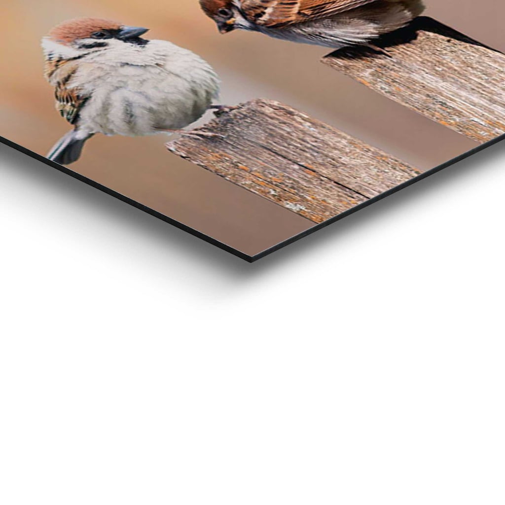 Reinders! Holzbild »Deco Panel 30x90 Bird Family«