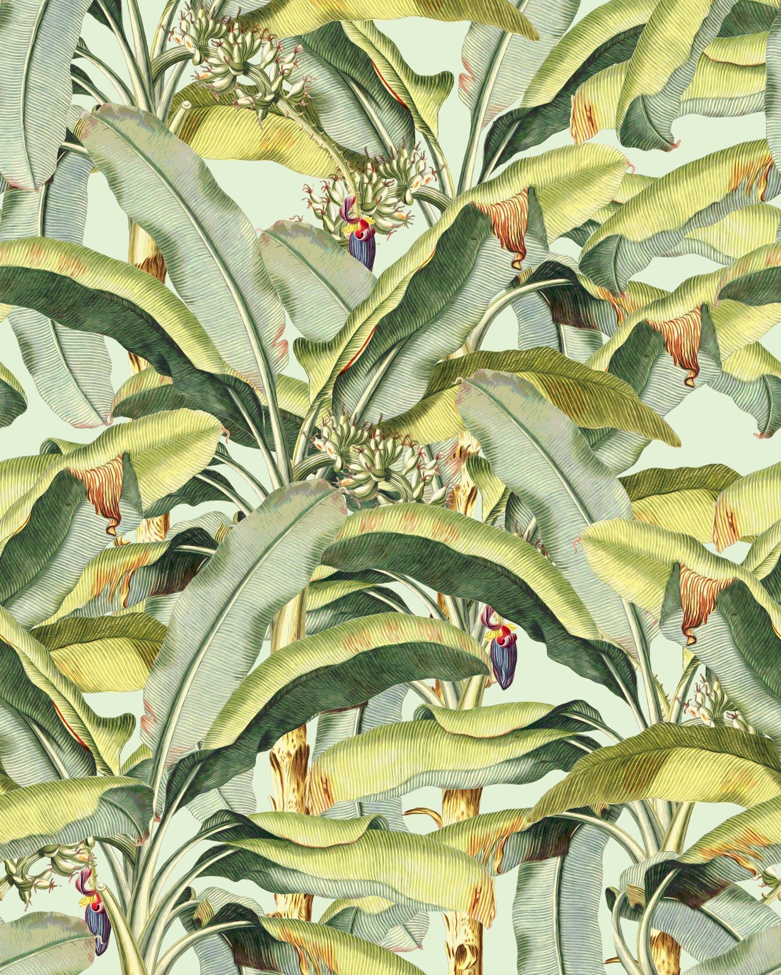 Komar Fototapete »Vlies Fototapete - Banana Grove - Größe 200 x 250 cm« Motiv | bedruckt glatt