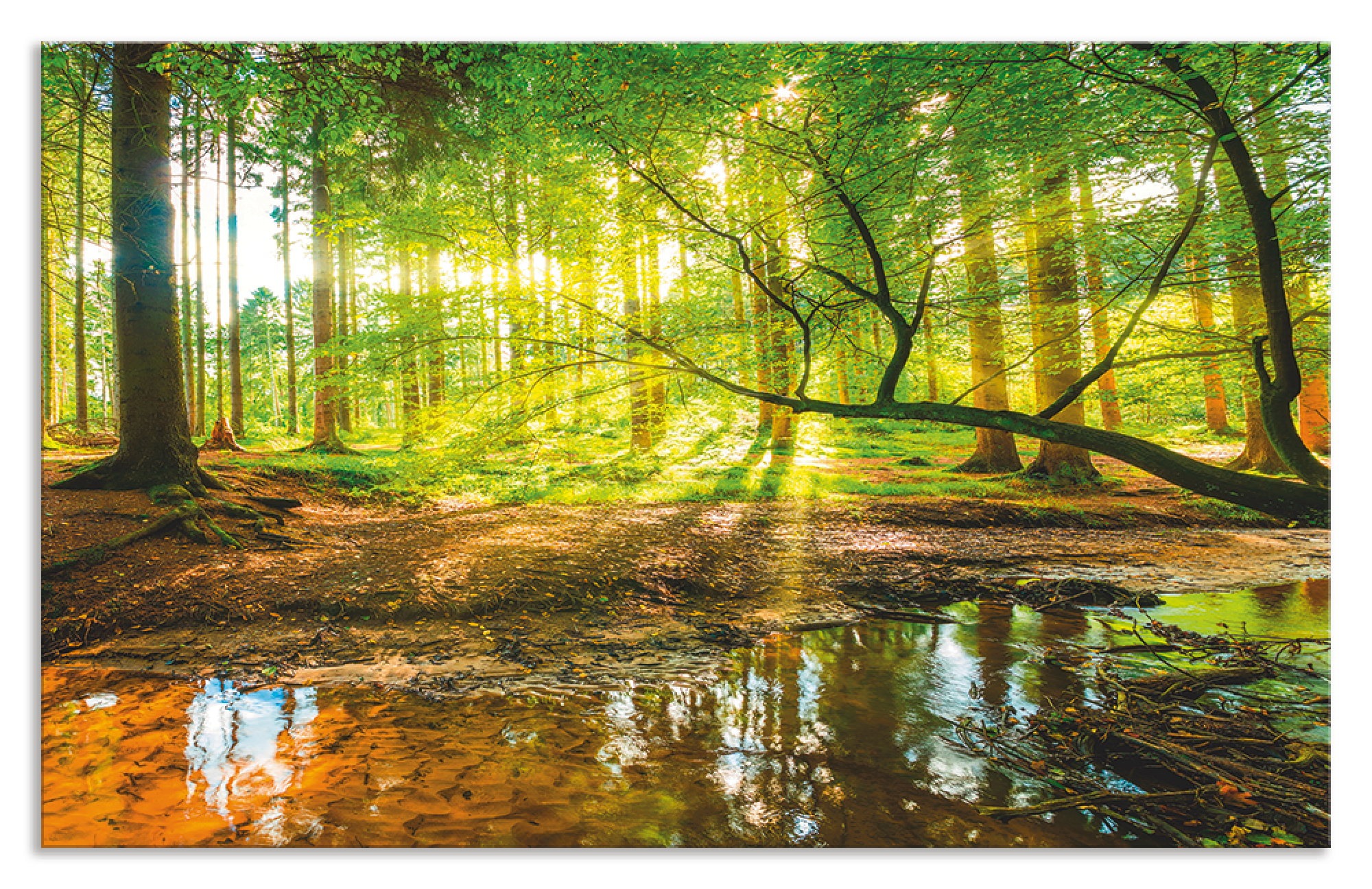 Artland Küchenrückwand "Wald mit Bach", (1 tlg.), Alu Spritzschutz mit Kleb günstig online kaufen
