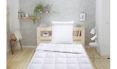 Älgdröm Daunenbettdecke + Kopfkissen »Sorsele«, (Spar-Set), mit skandinavischen Design! kaufen