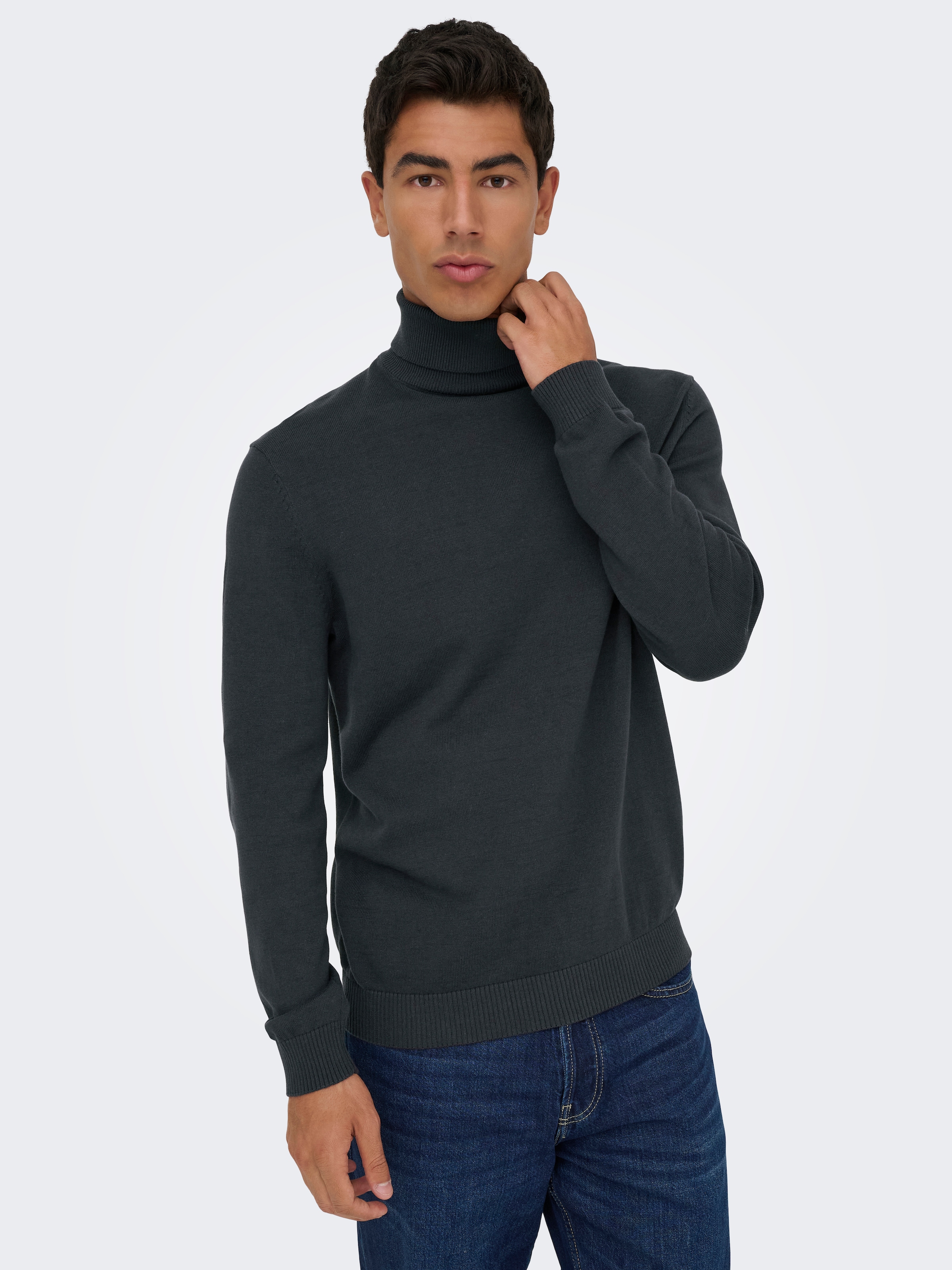 ONLY & SONS Rollkragenpullover »ONSHOLGER REG ROLL NECK KNIT - OTL«