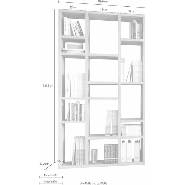 fif möbel Raumteilerregal »TORO 384«, Breite 120 cm | BAUR