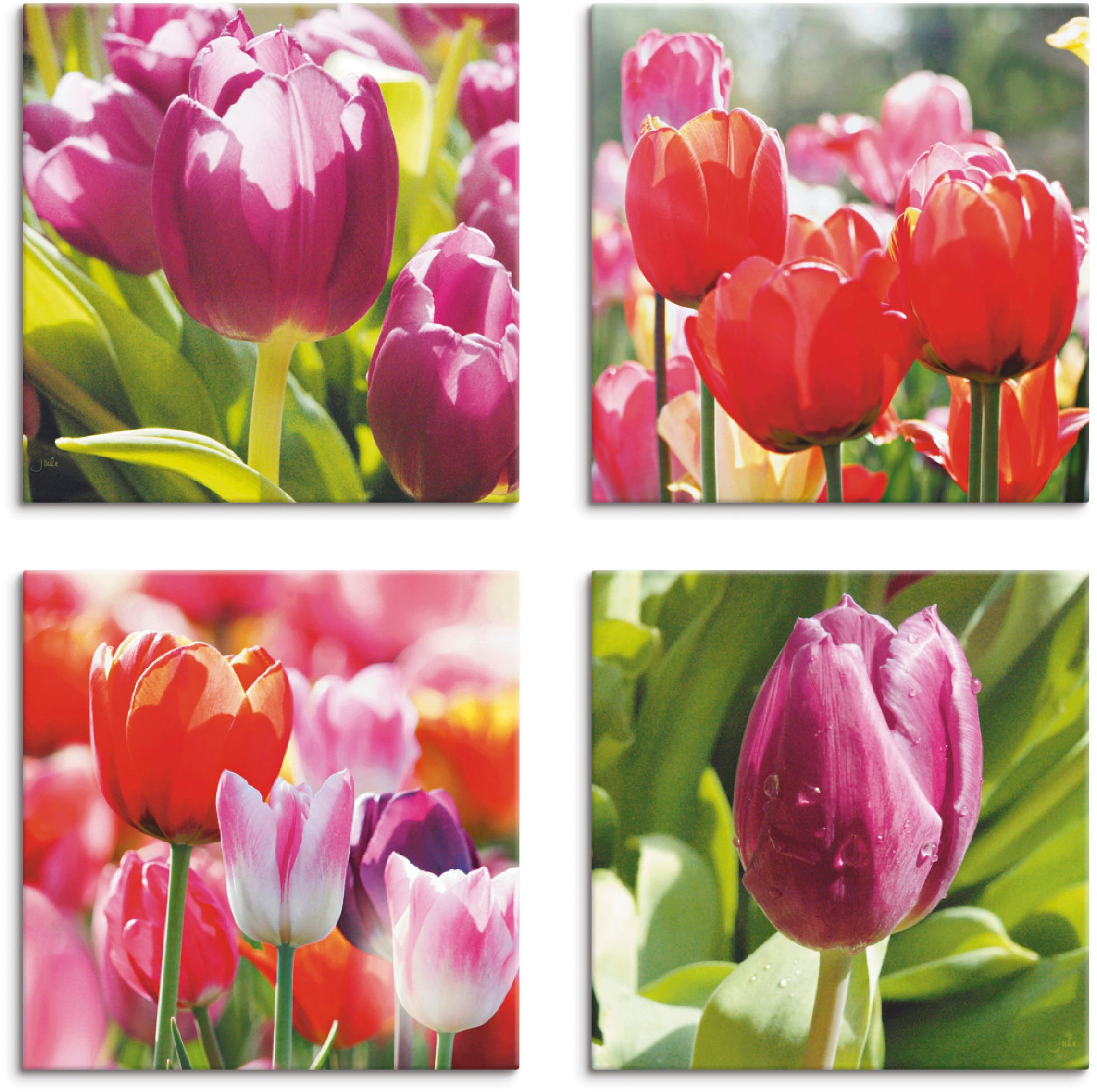 Artland Leinwandbild "Frühling und Tulpen", Blumen, (4 St.), 4er Set, verschiedene Größen