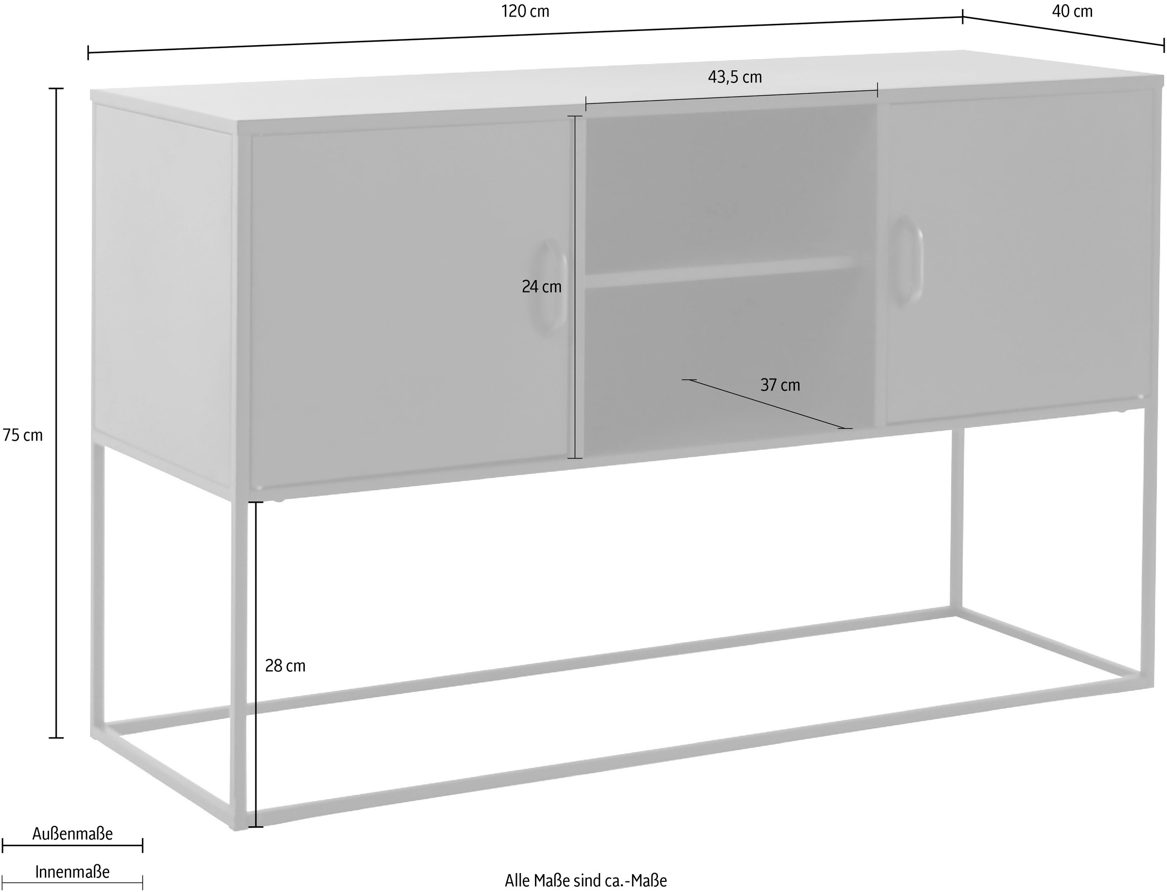 Homexperts Kommode »Rich«, designorientiertes Metallmöbel als Kommode oder TV Board nutzbar