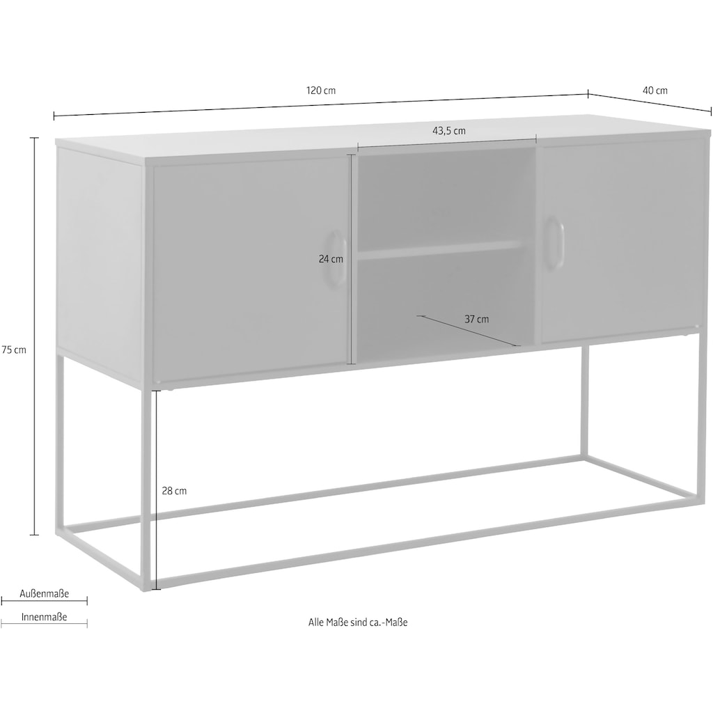 Homexperts Kommode »Rich«, designorientiertes Metallmöbel als Kommode oder TV Board nutzbar