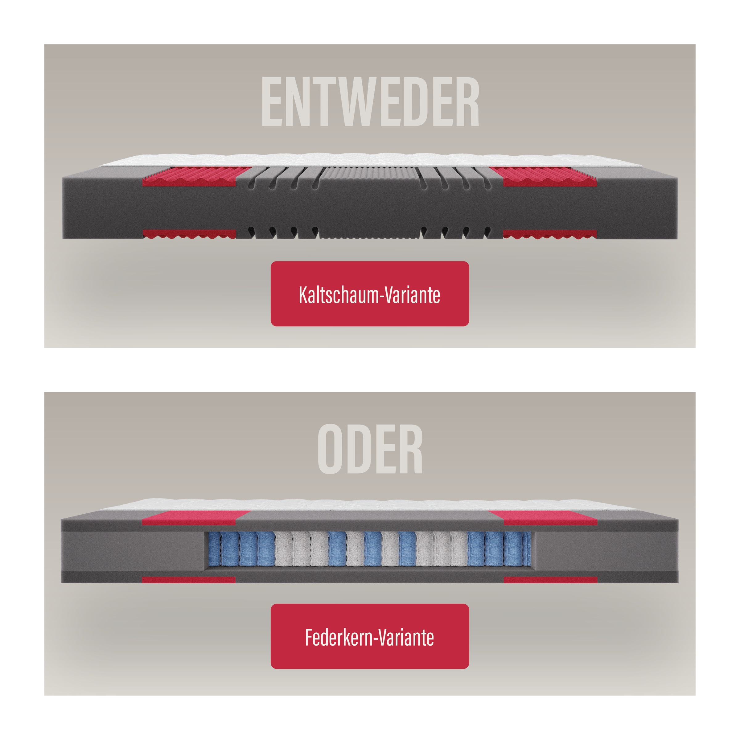 Paradies Kaltschaummatratze "Neuheit: Paradies Prolife Supreme, Testsieger günstig online kaufen