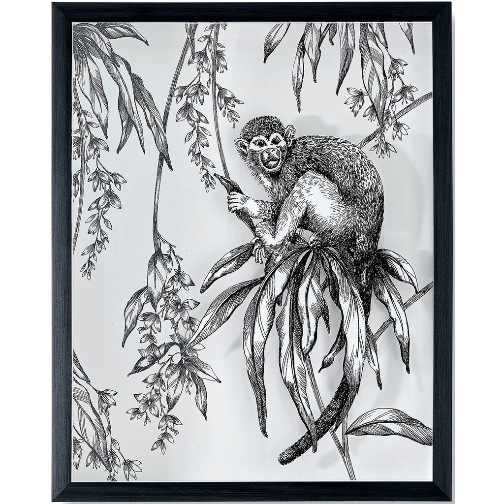 Art for the home Bilderrahmen »Saimiri Monkey«, (1 St.)