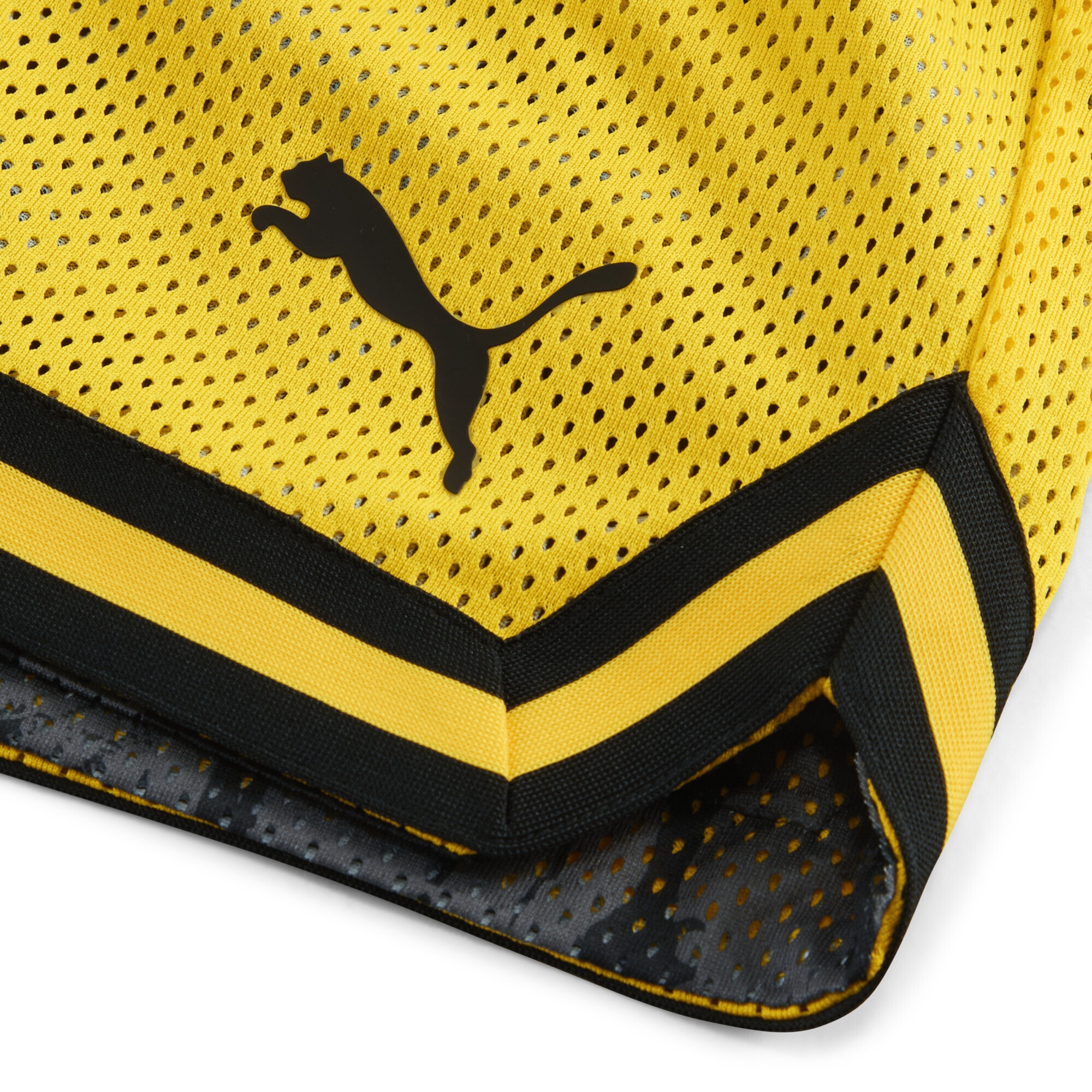 PUMA Shorts »PUMA HOOPS x Borussia Dortmund Shorts Herren«