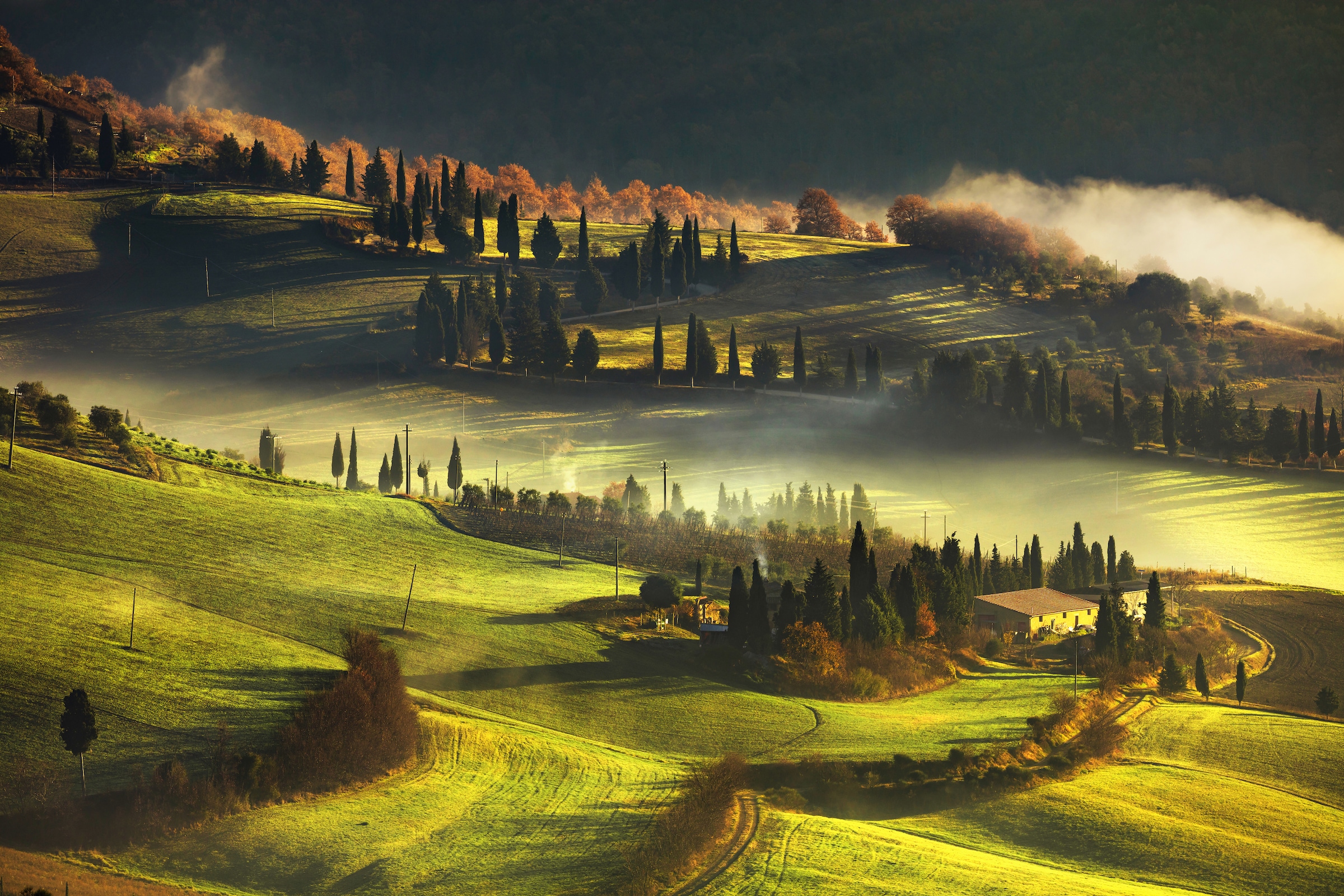 Papermoon Fototapete »LANDSCHAFT-HERBST NATUR BÄUME WALD BERGE GEBIRGE ALPEN«