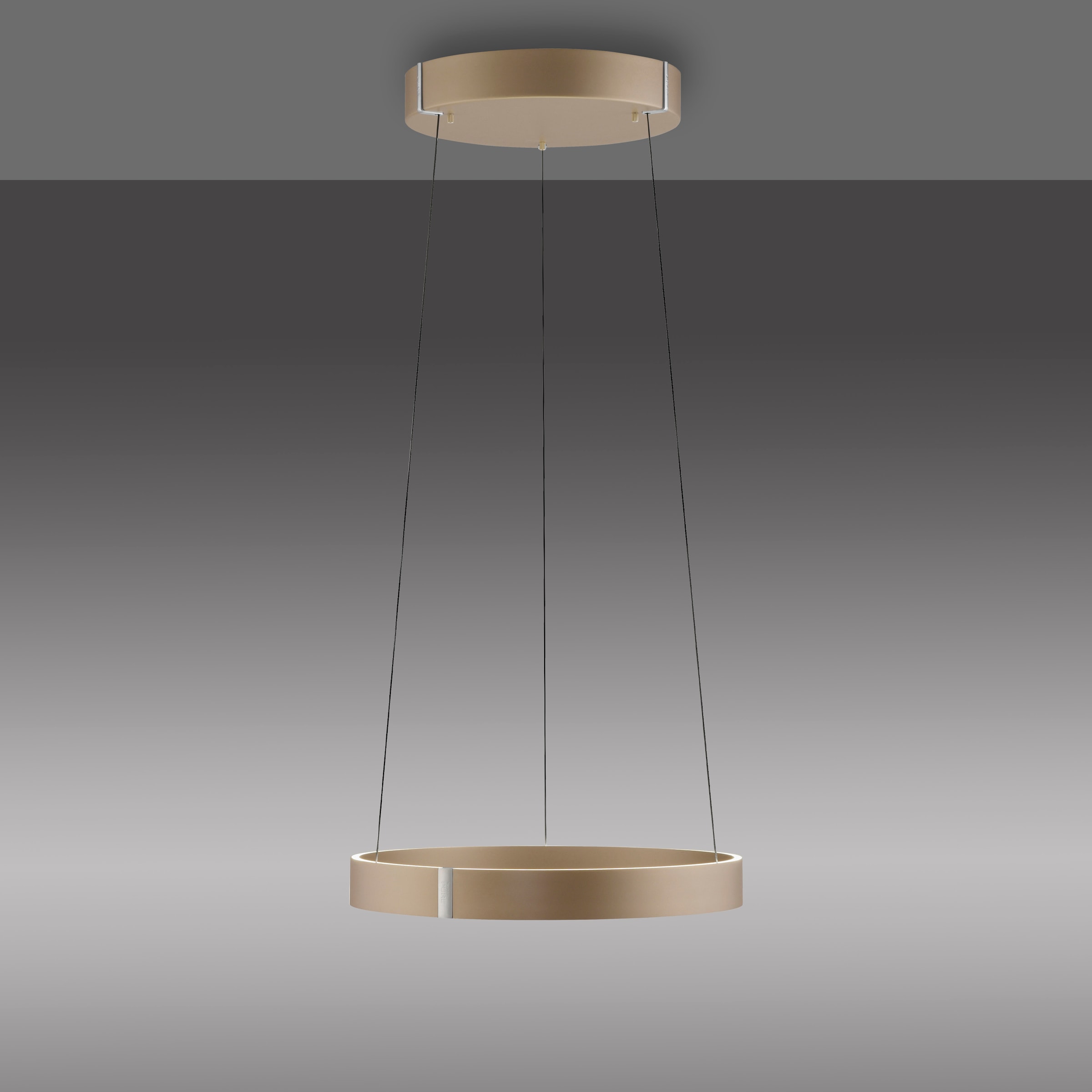 Neuhaus PURE LED Pendelleuchte »PURE E-Clipse« LED-Board 1 Stk. warmweiß - kaltweiß e-LIFT®-Funktion, CCT, dimmbar über Fernbedíenung