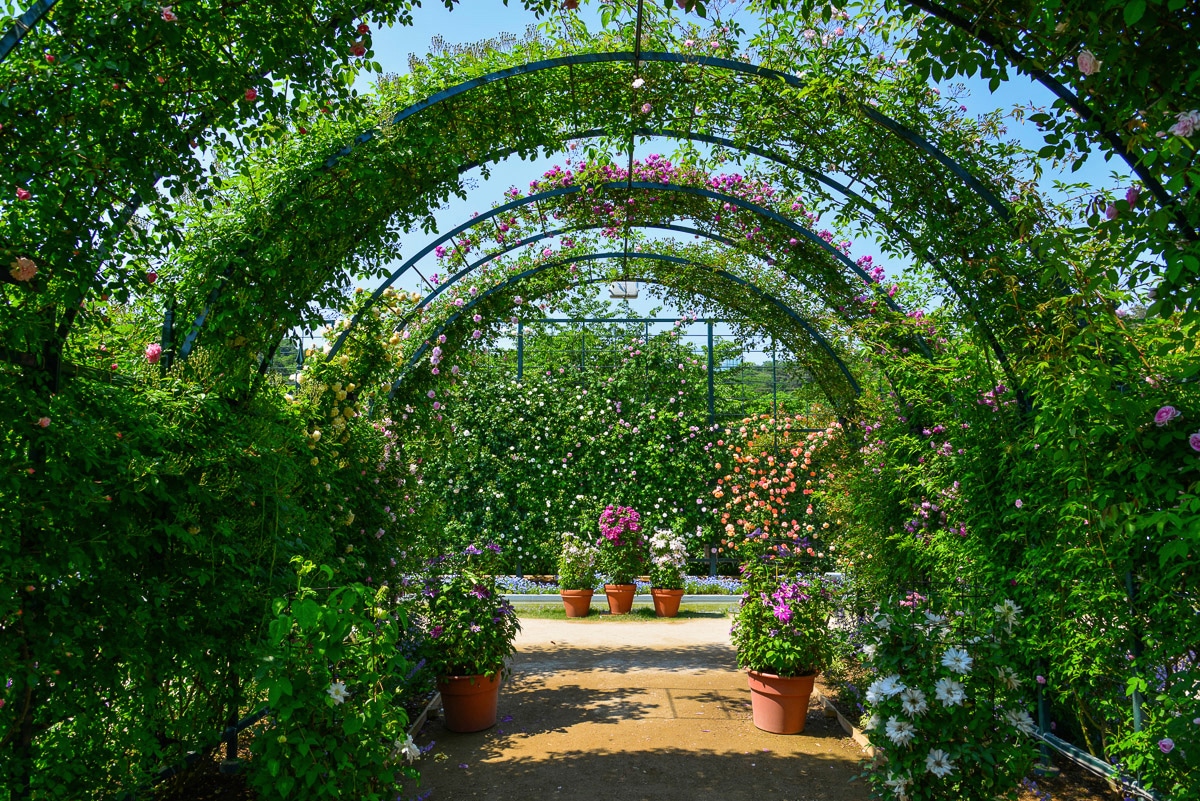 Papermoon "Garten"