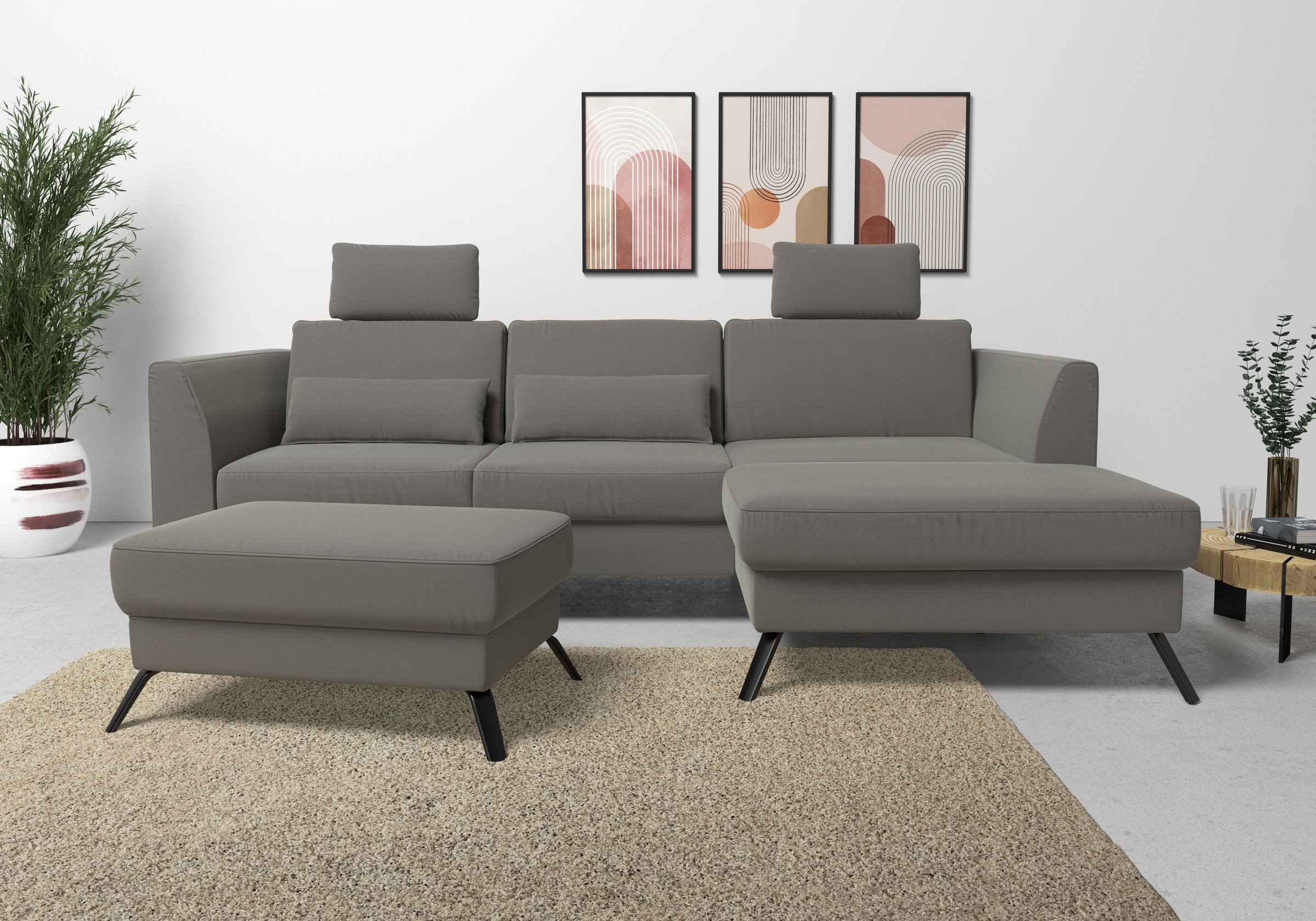 sit&more Ecksofa "Olsen L-Form" inklusive Sitztiefenverstellung, wahlweise günstig online kaufen