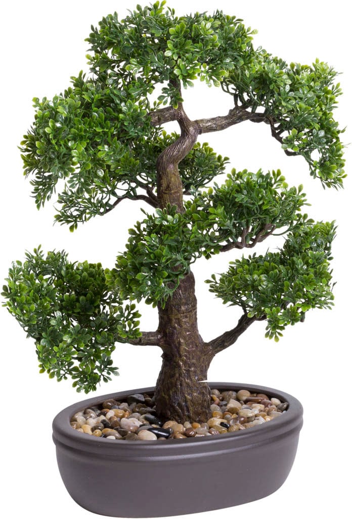 Botanic-Haus Kunstbonsai "Ficus Bonsai"