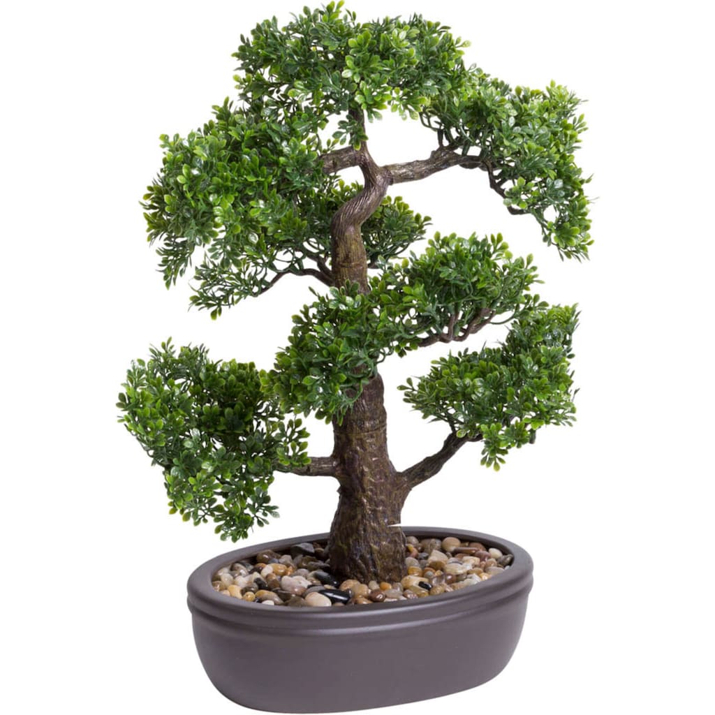 Botanic-Haus Kunstbonsai »Ficus Bonsai«