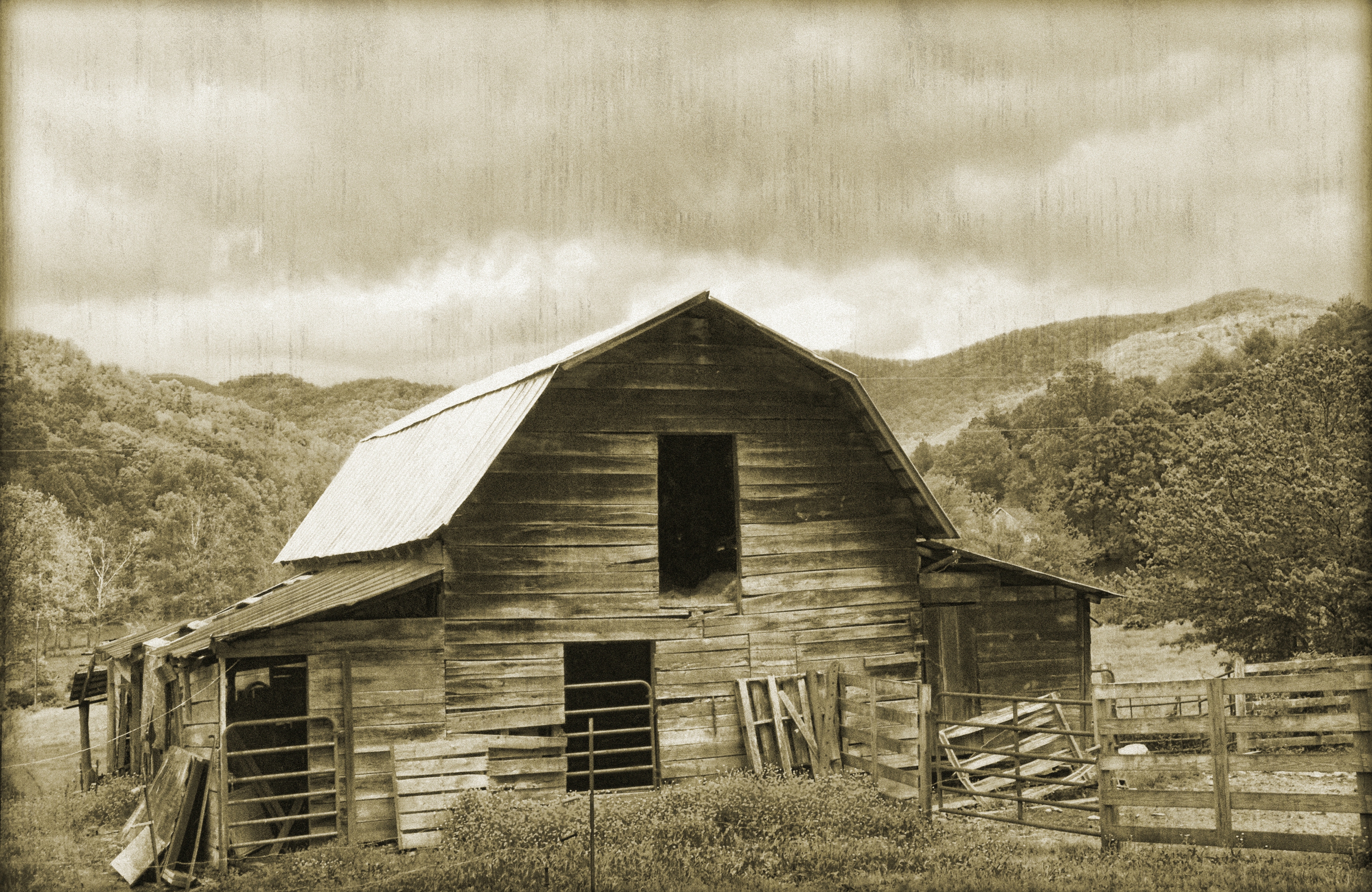 Papermoon Fototapete "VINTAGE-NATUR LANDSCHAFT SCHWARZ WEIßBÄUME WANDBILD"
