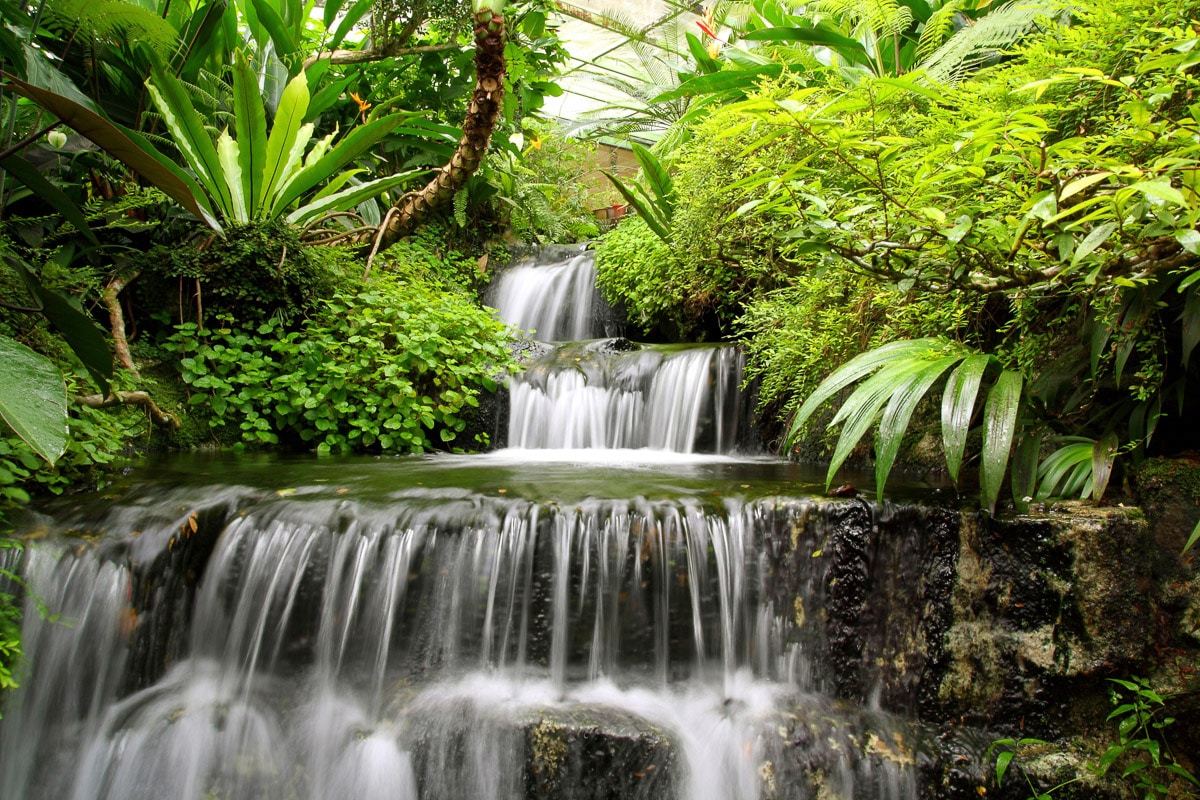 Papermoon "WASSERFALL-NATUR WALD DSCHUNGEL PALMEN BÄUME PFLANZEN"