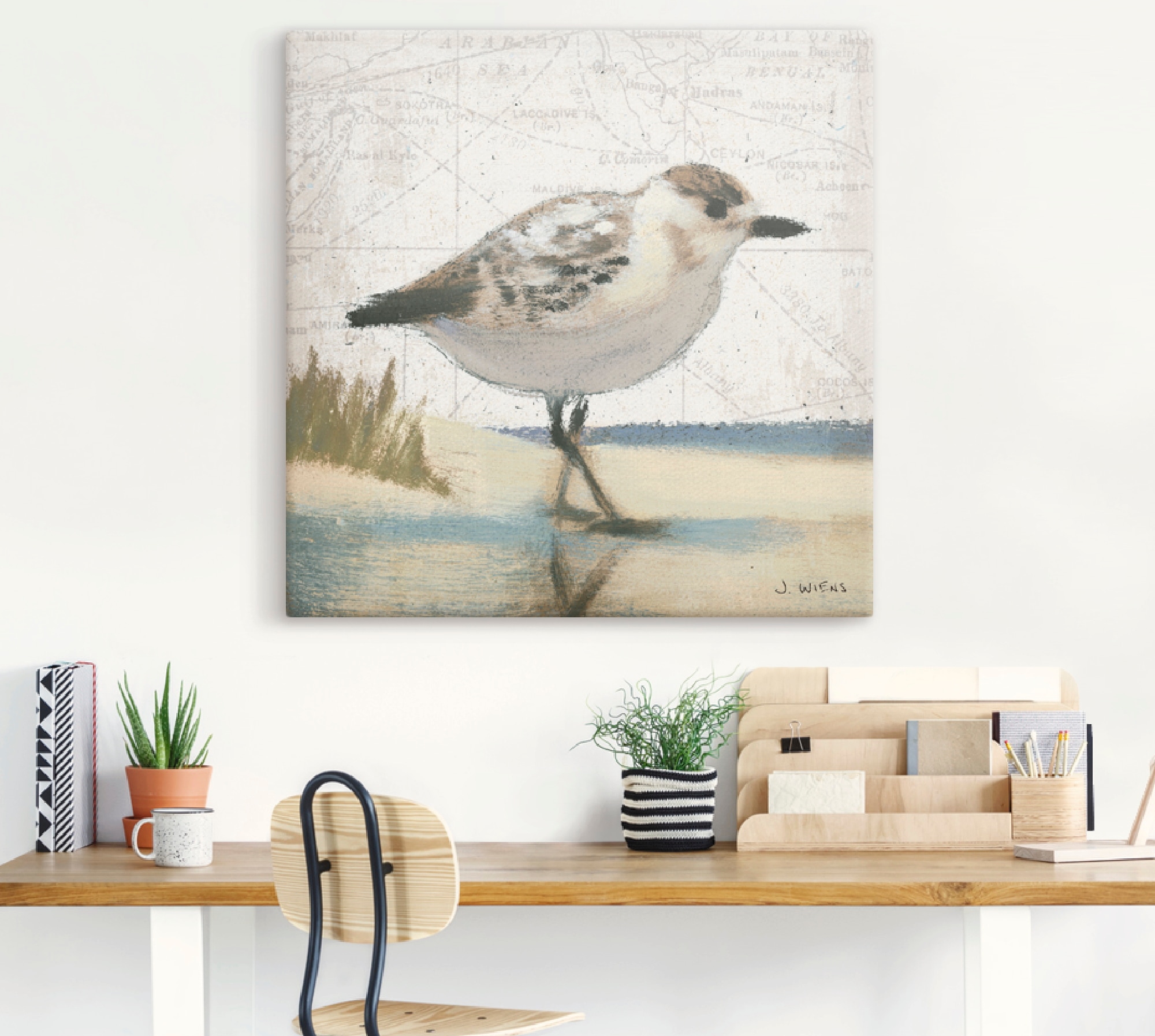 Artland Wandbild »Möwe I«, Vögel, (1 St.), als Leinwandbild, Wandaufkleber in verschied. Größen