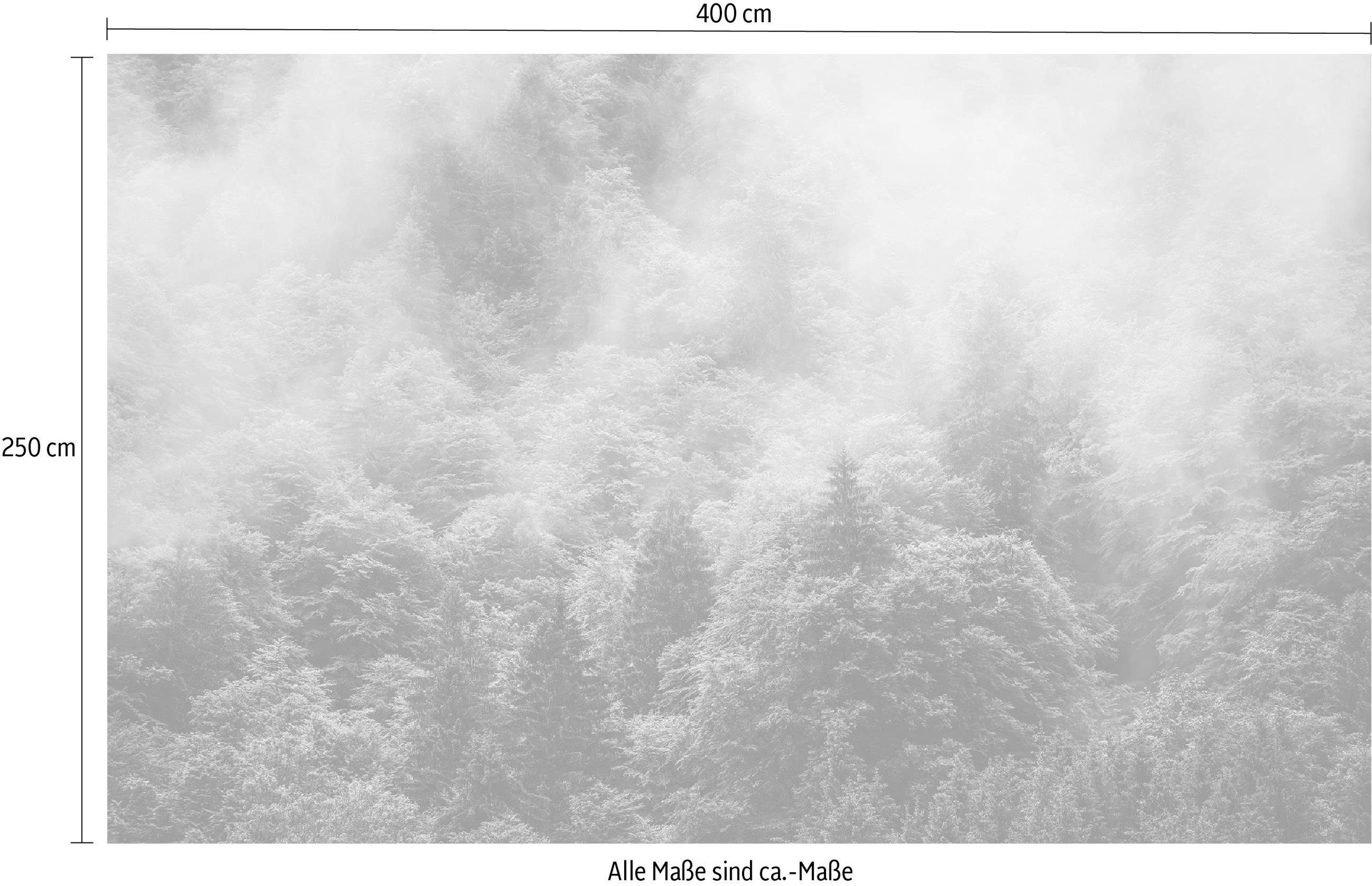 Komar Vliestapete »Digitaldruck Vlies - Forest Land - Größe 400 x 250 cm«, bedruckt, Wohnzimmer, Schlafzimmer